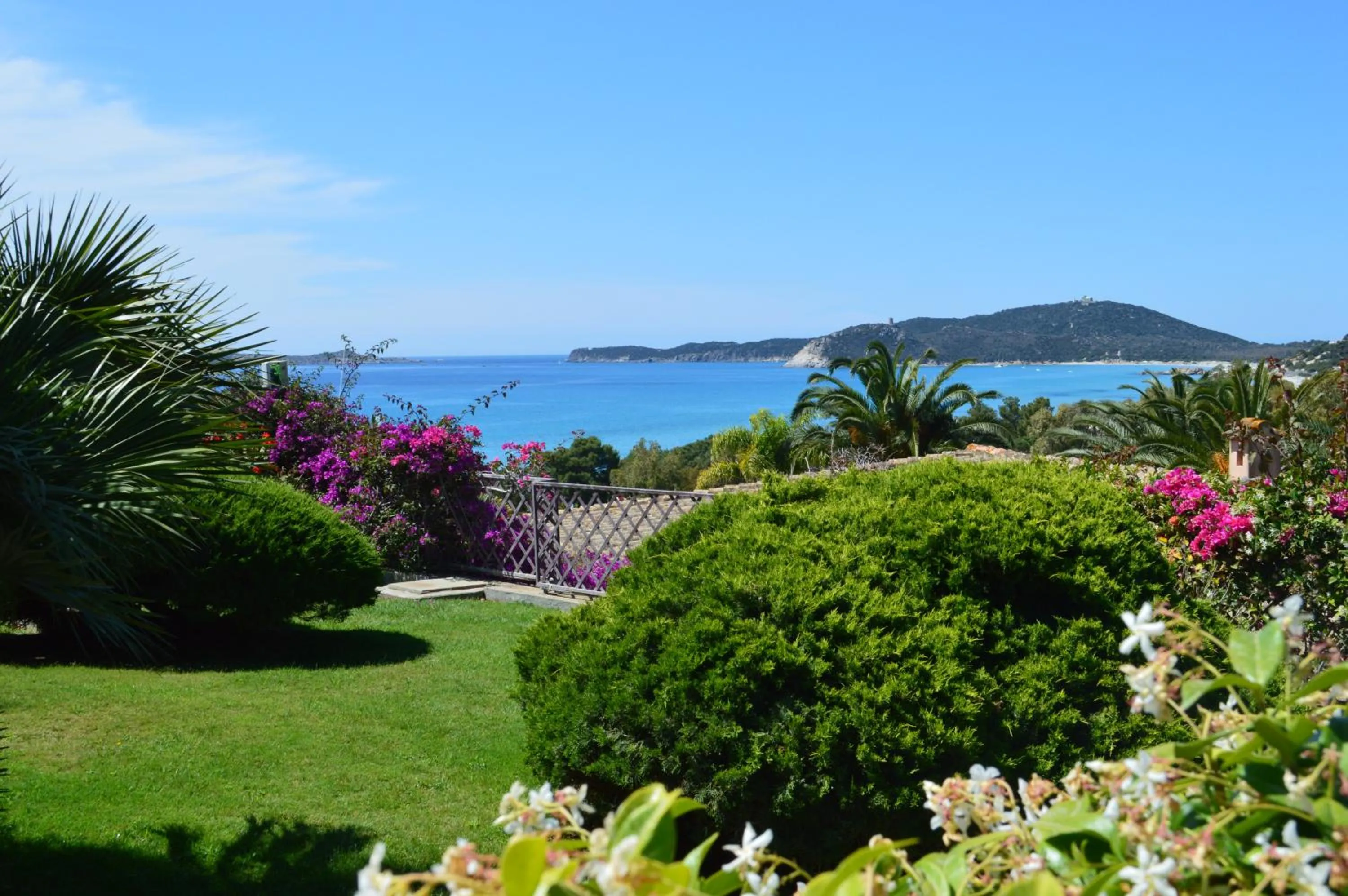 Garden in Residence Fenicia