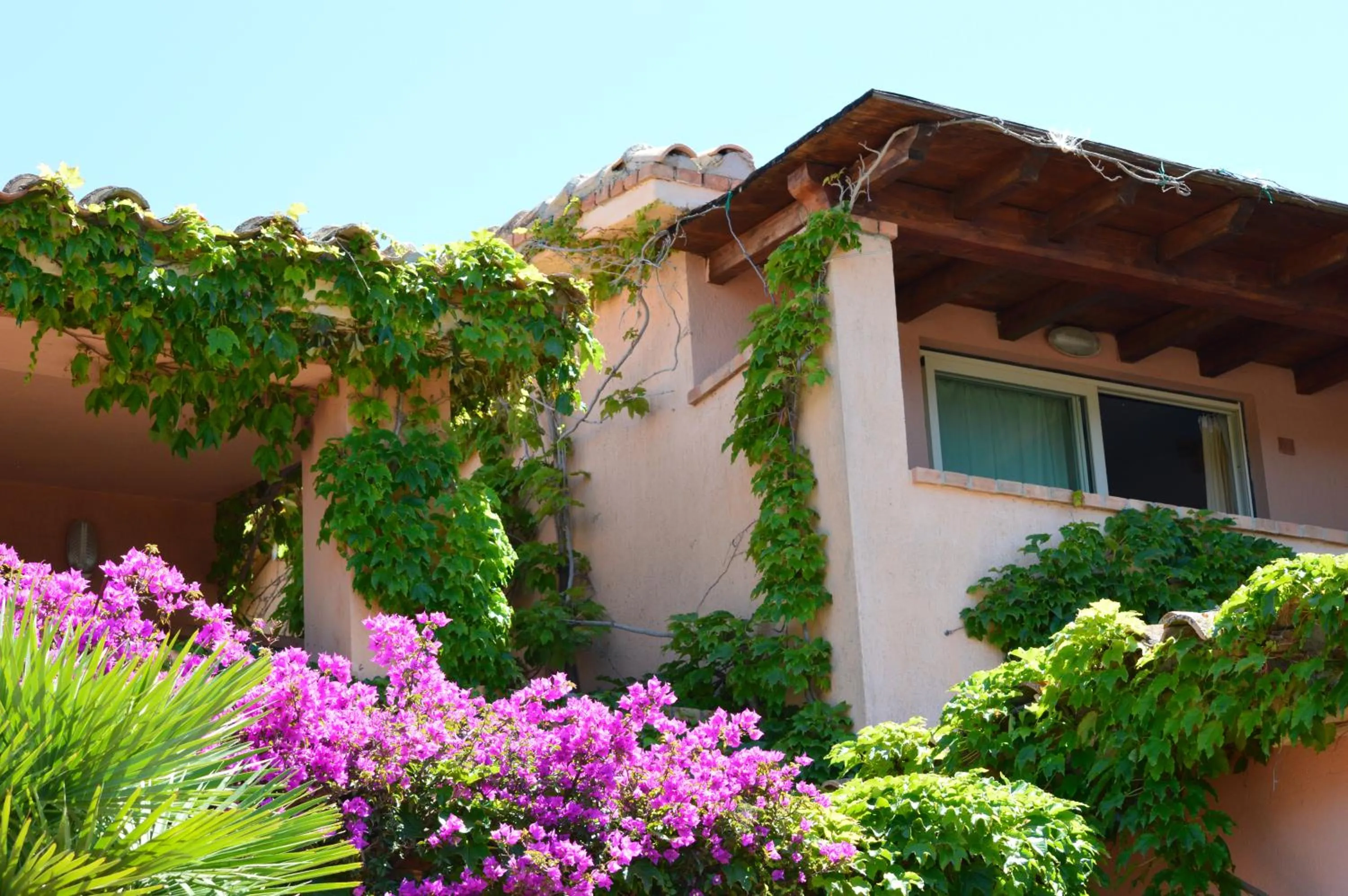 Balcony/Terrace in Residence Fenicia