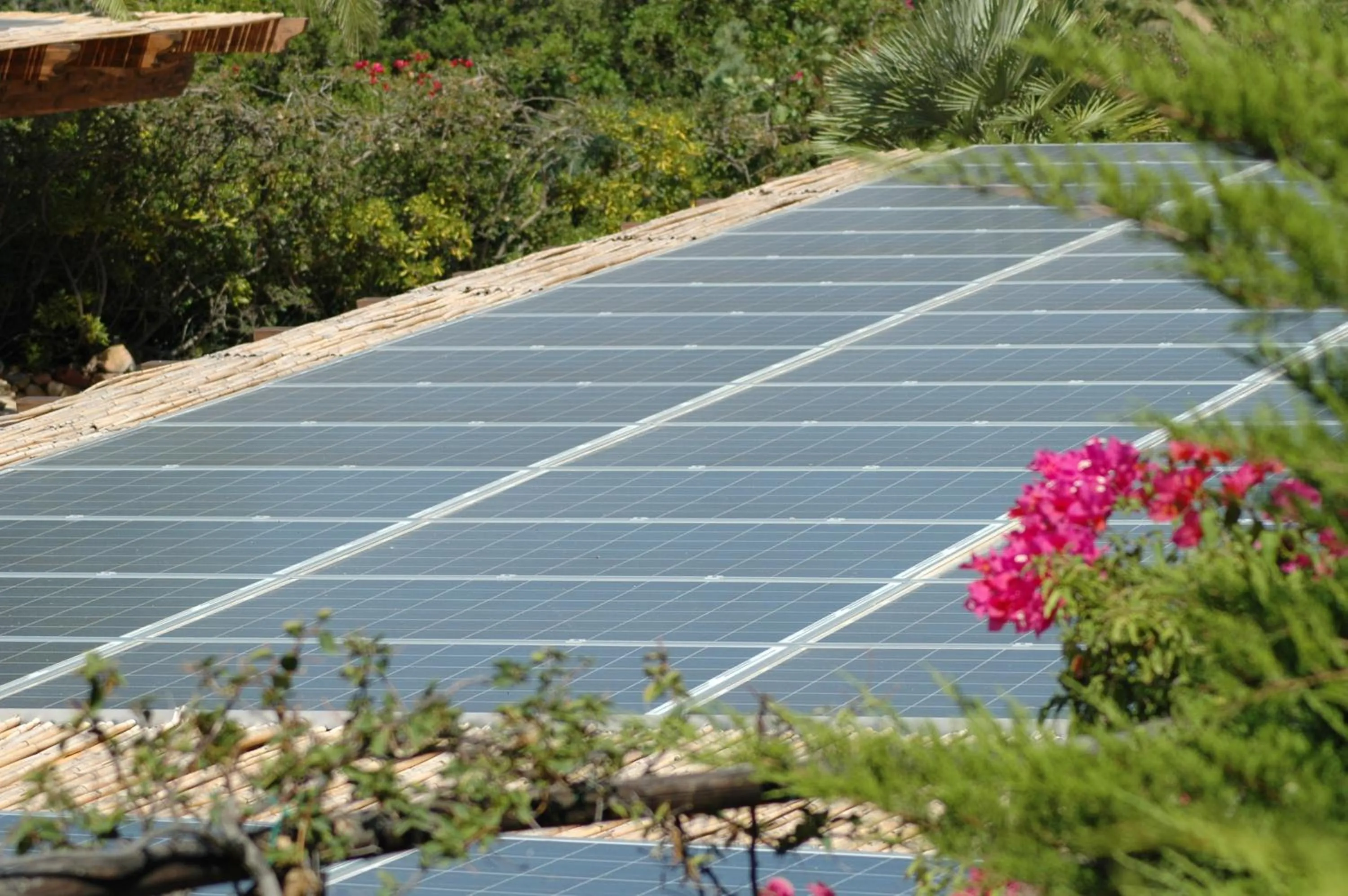 Other in Residence Fenicia