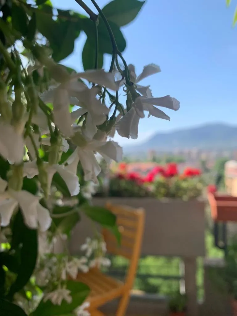 Bed and Breakfast San Valentino