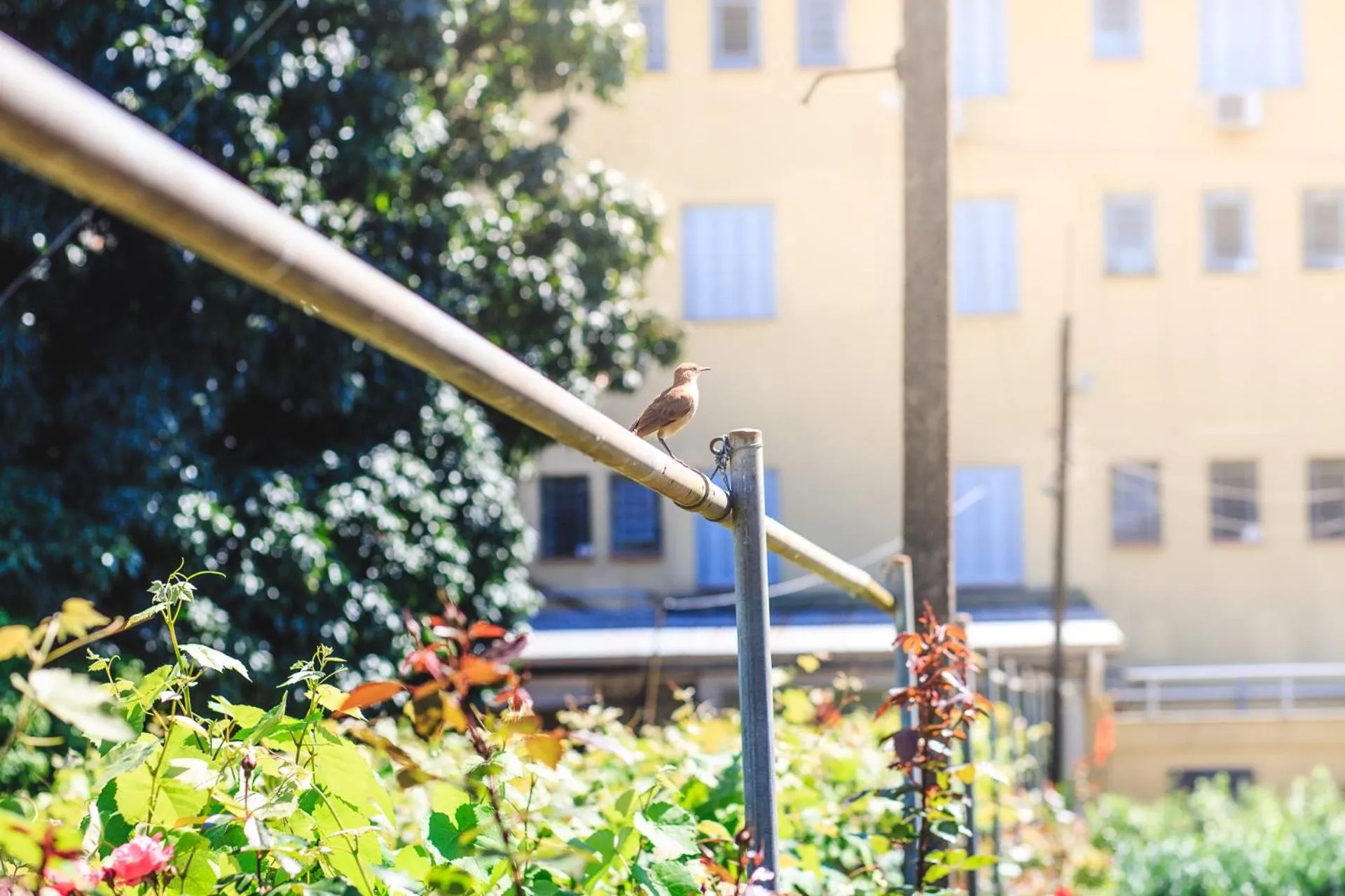 Property building in Hotel Pousada São Lourenço