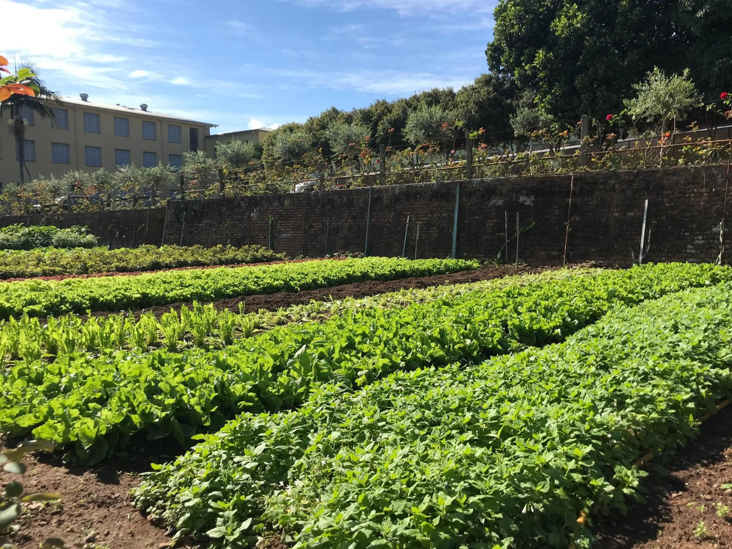 Garden in Hotel Pousada São Lourenço