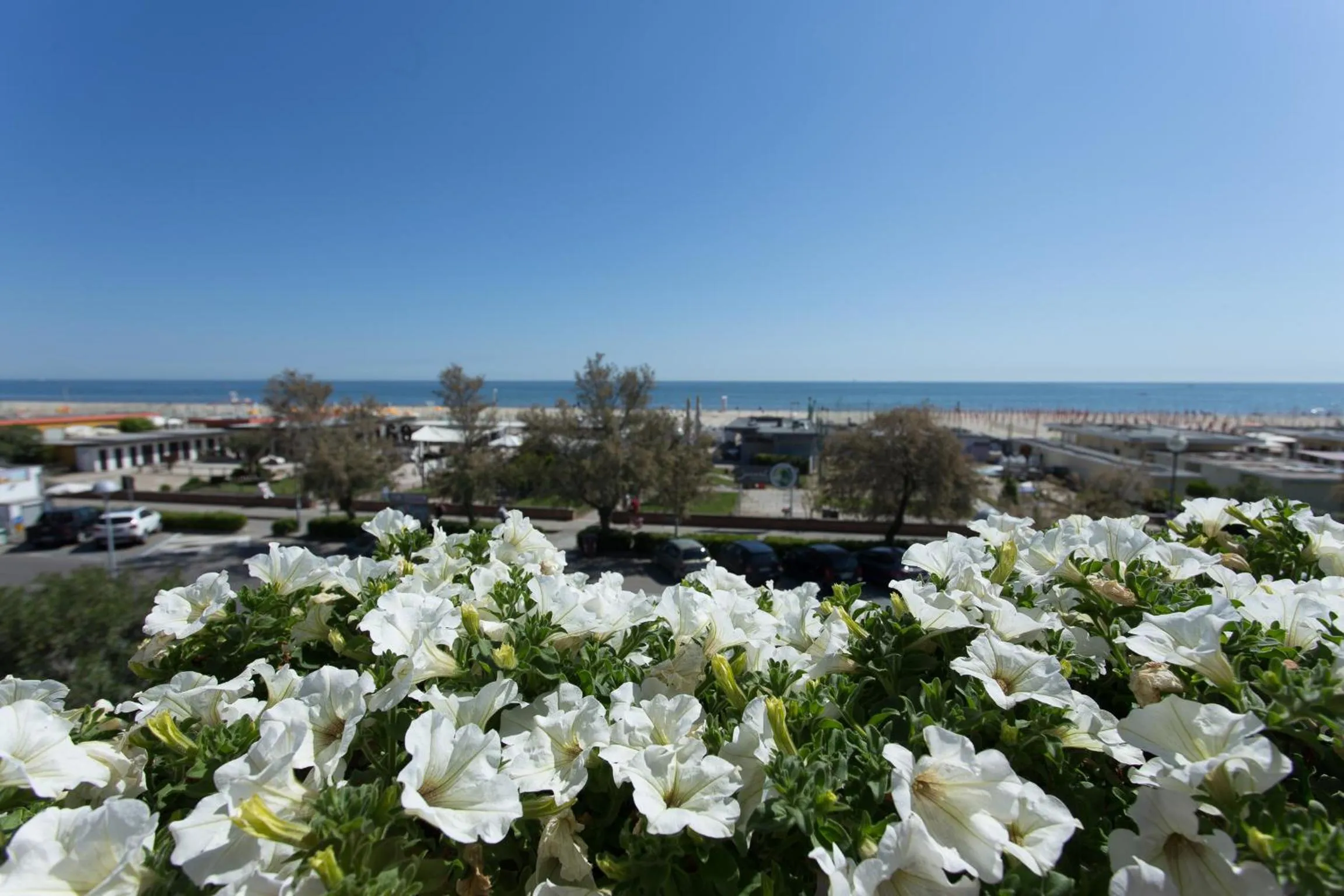 Neighbourhood in Hotel Souvenir - Koolibry Hotels