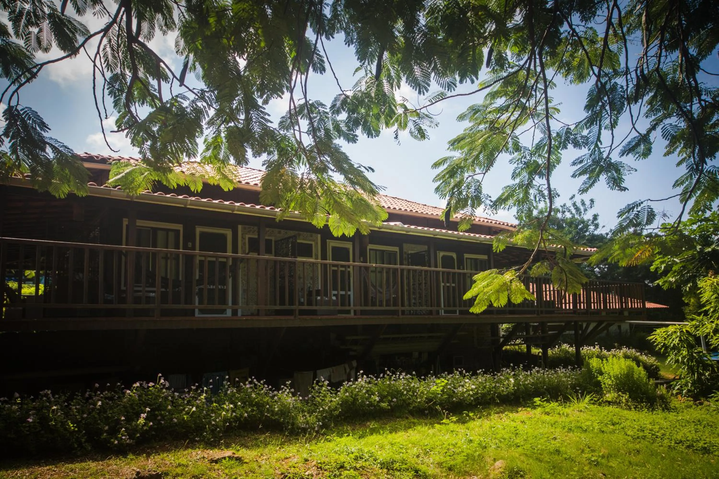 Facade/entrance in Pousada Seu Dodó
