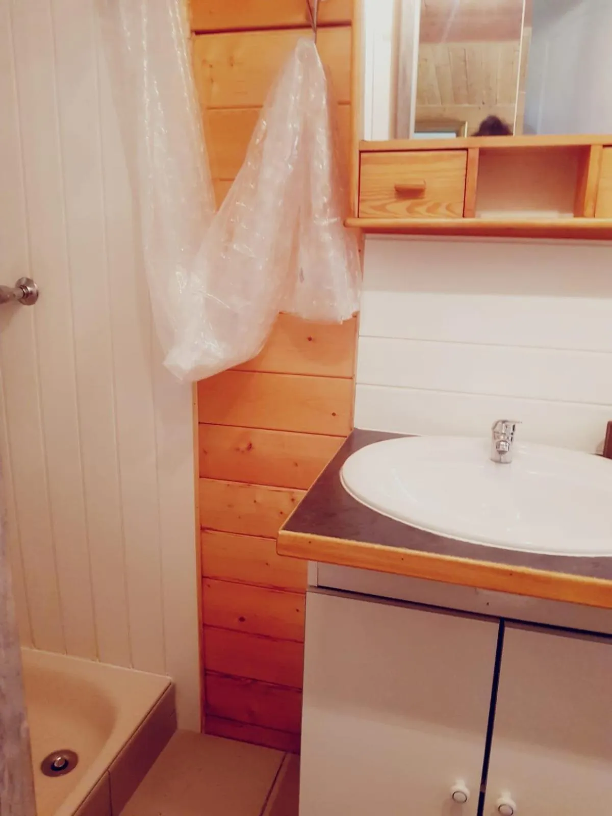 Les Lézards 2 au Soleil Draguignan