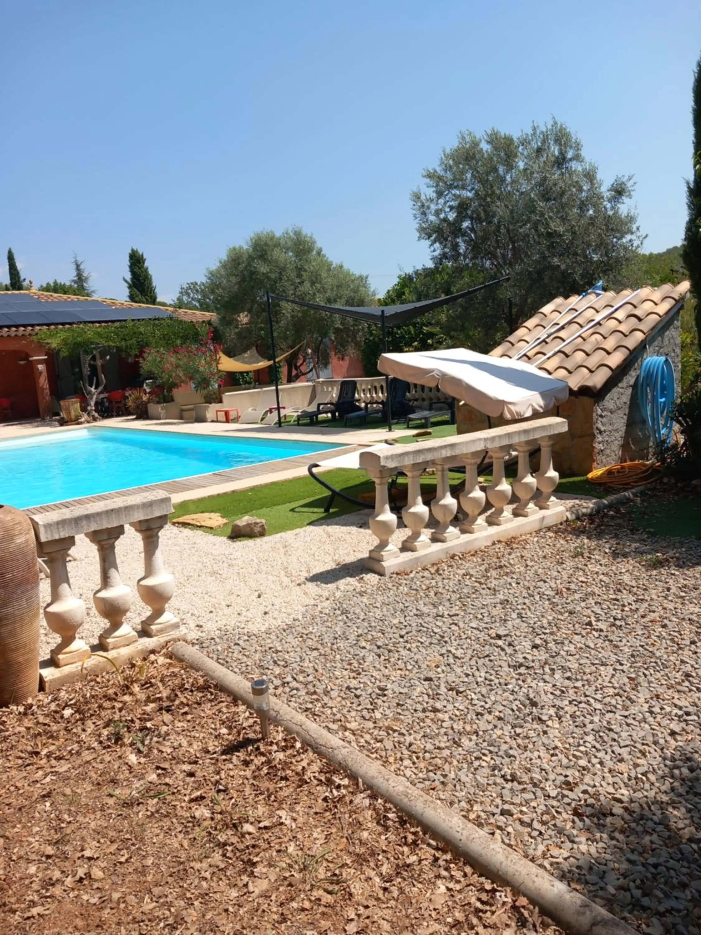 Les Lézards 2 au Soleil Draguignan