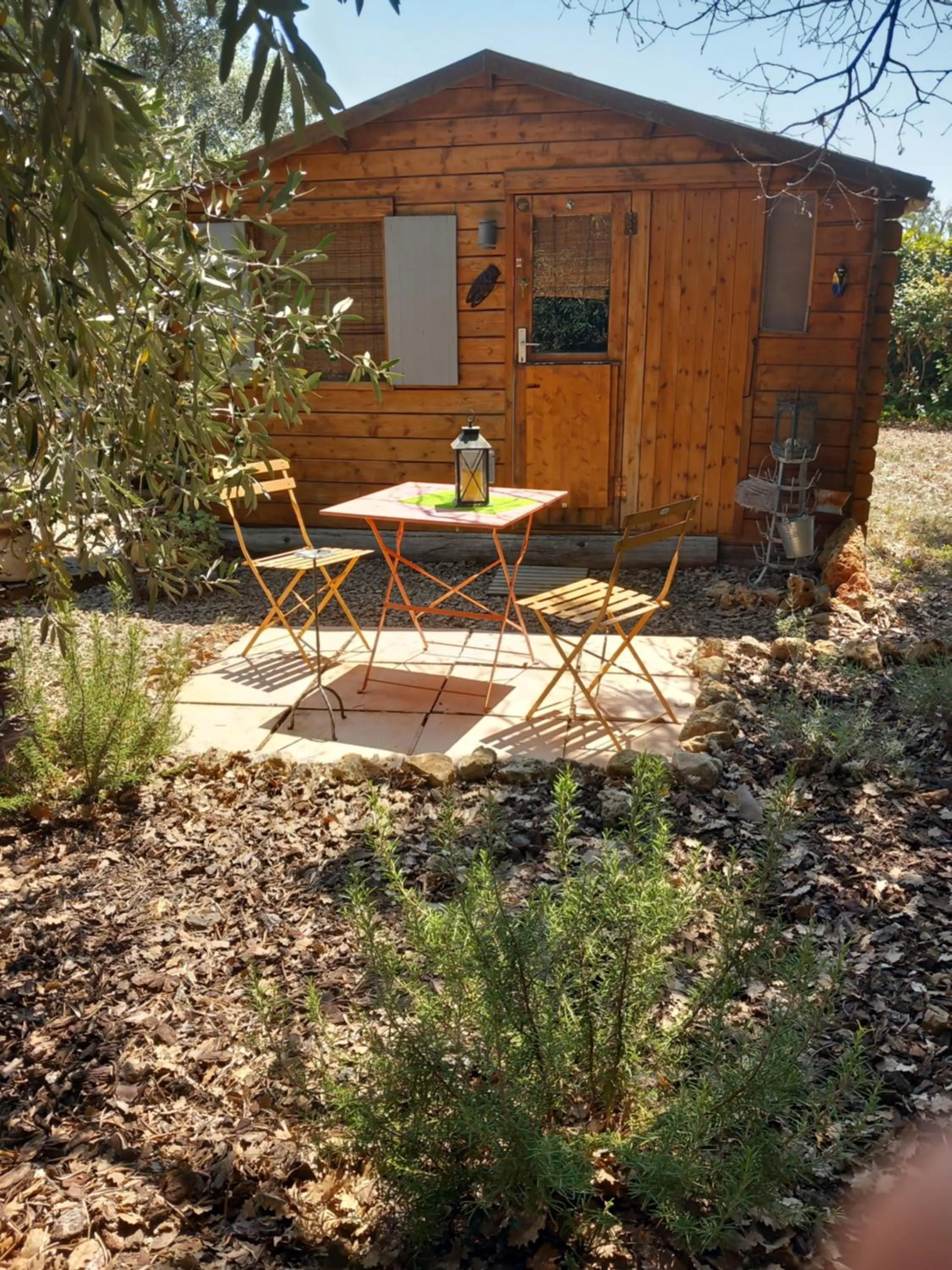 Les Lézards 2 au Soleil Draguignan