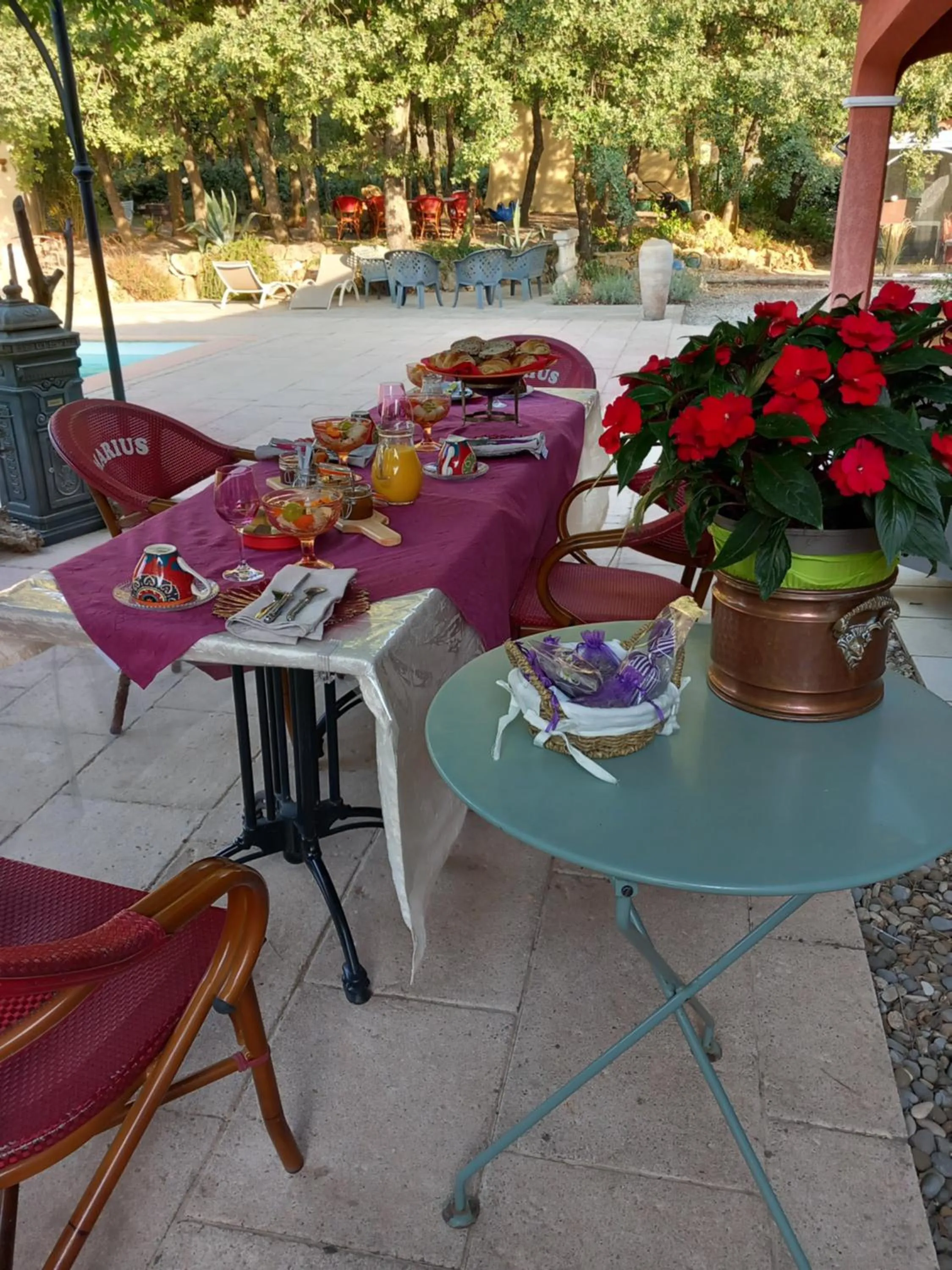 Les Lézards 2 au Soleil Draguignan