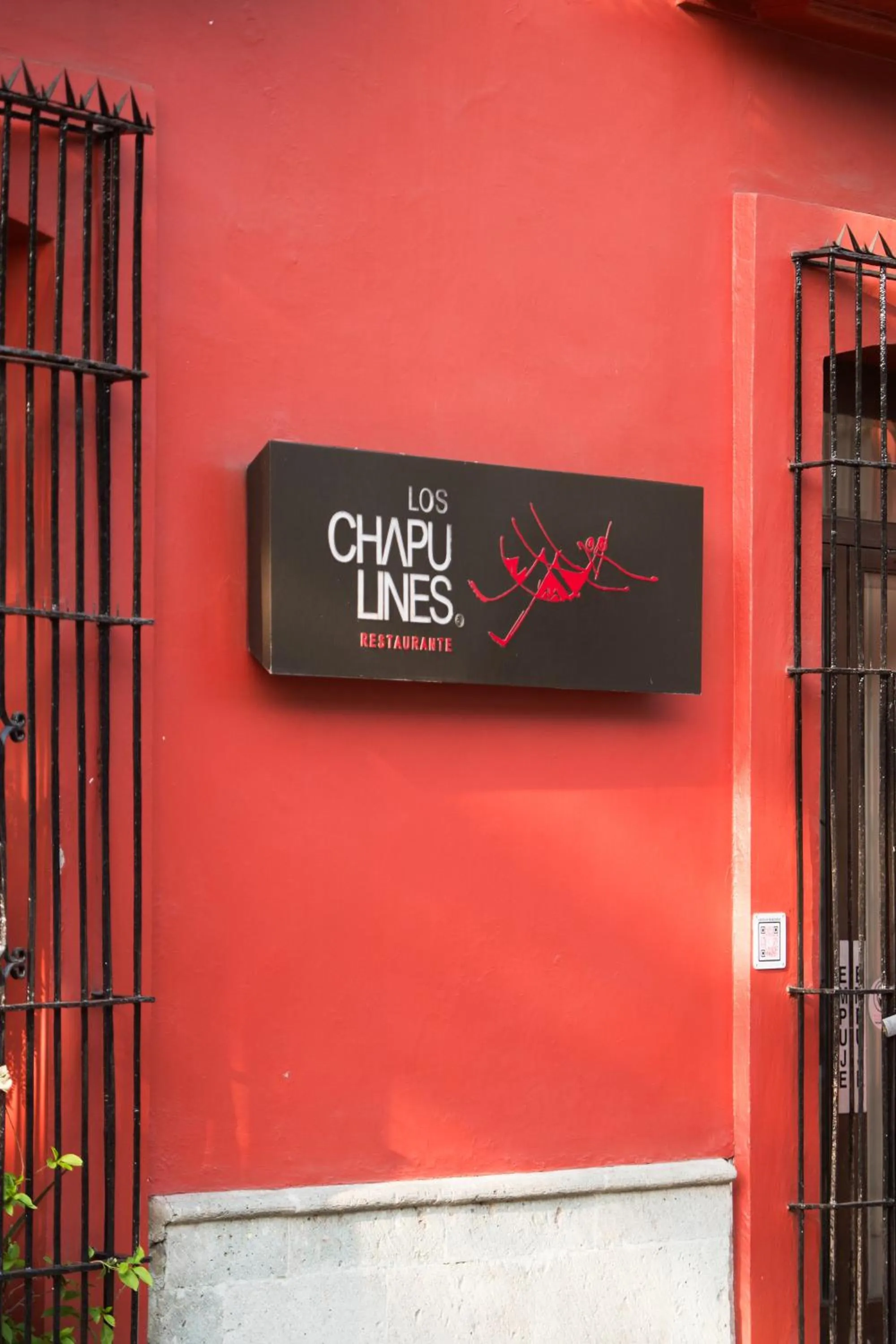 Restaurant/places to eat in Hotel Abu