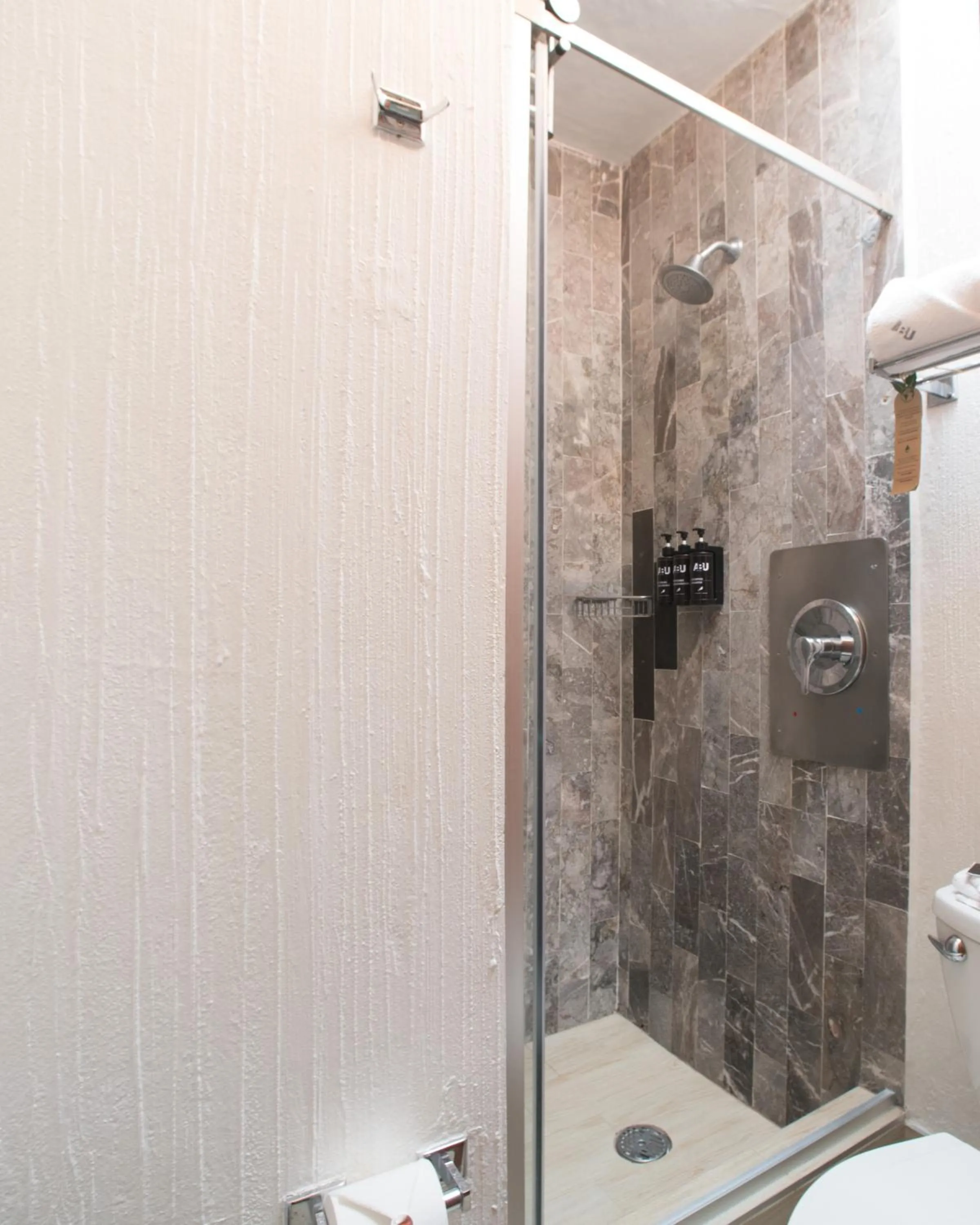 Bathroom in Hotel Abu