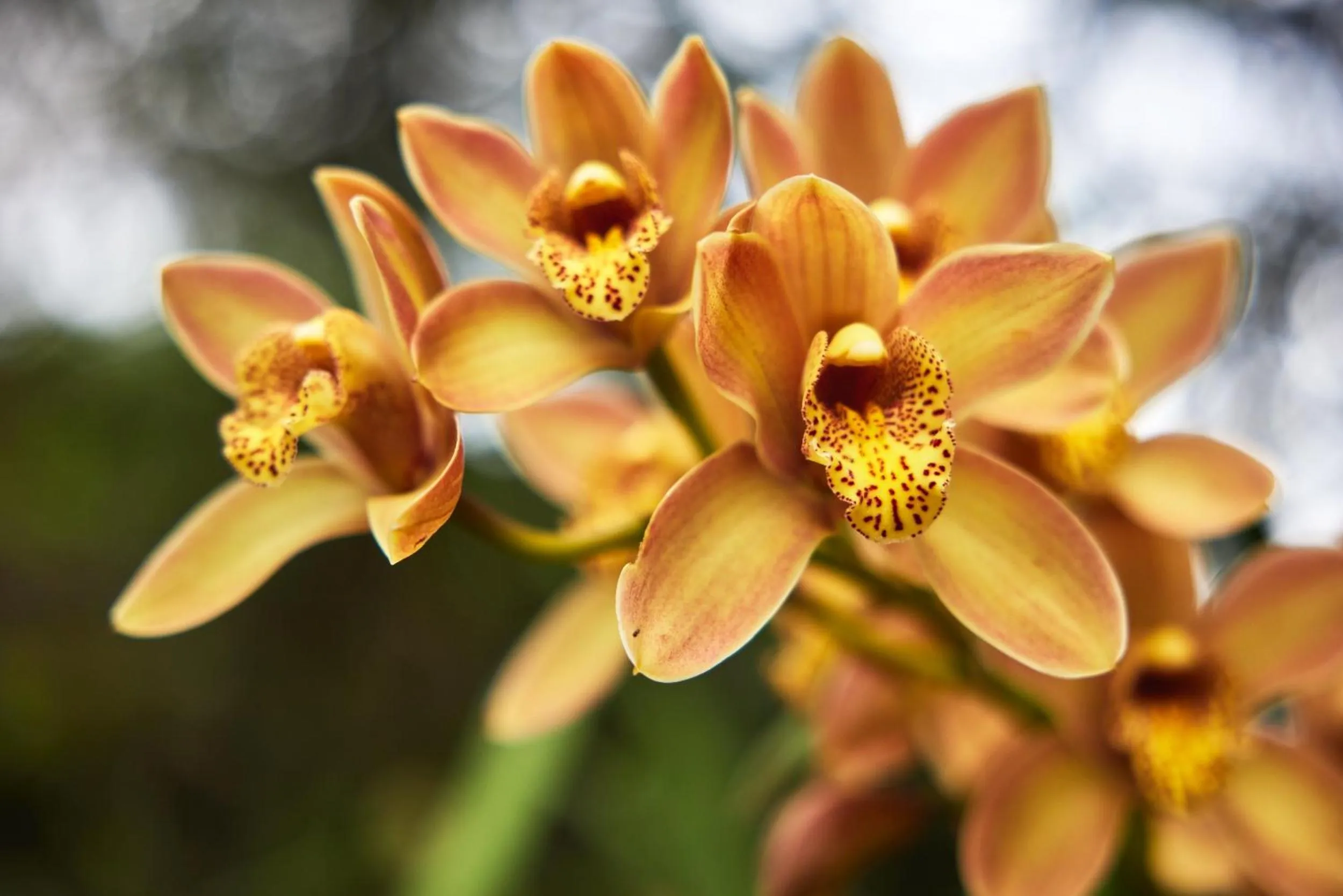 Property building in Villa Rock Stop Falls Gigiri