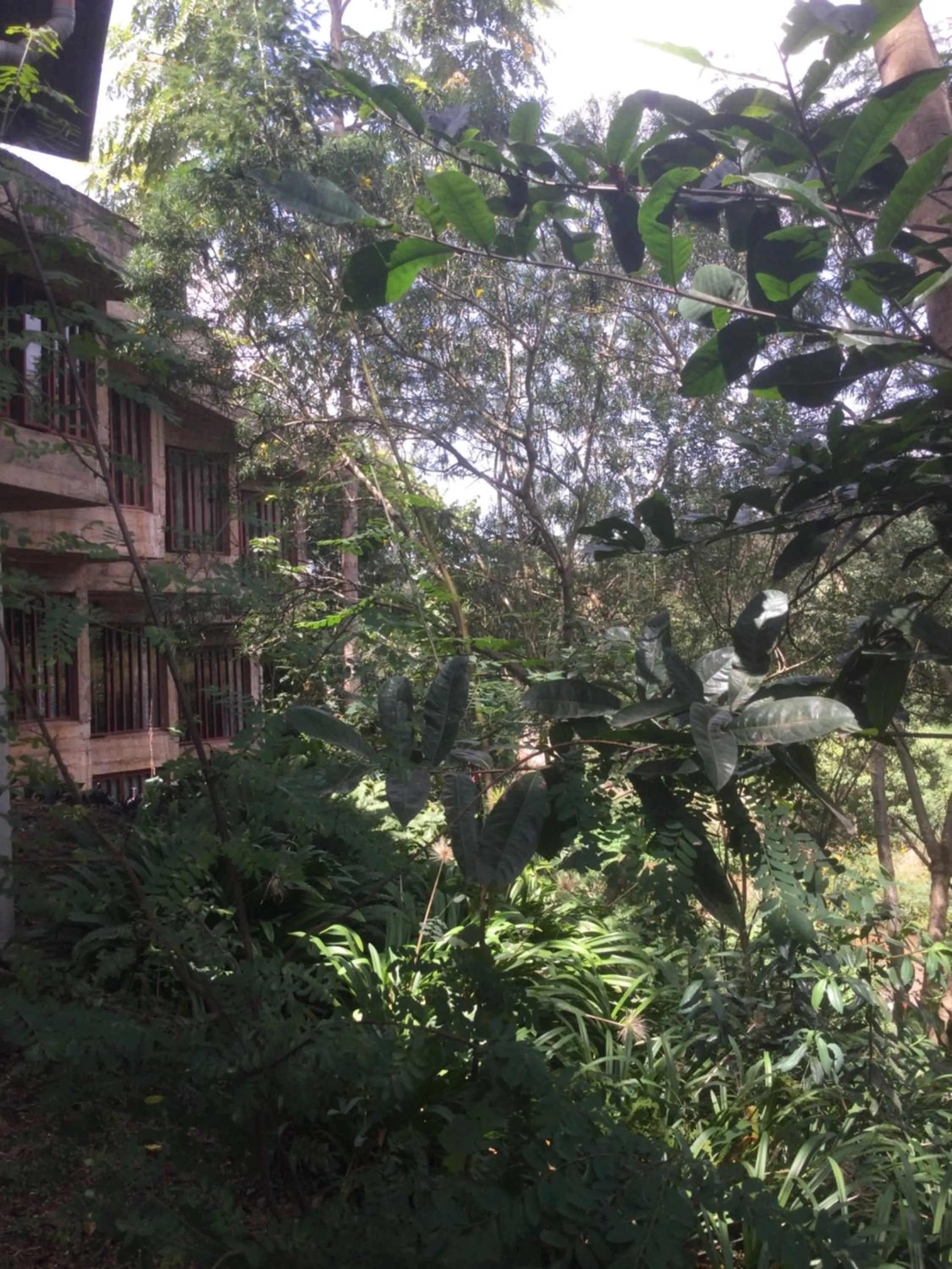 Property building in Villa Rock Stop Falls Gigiri