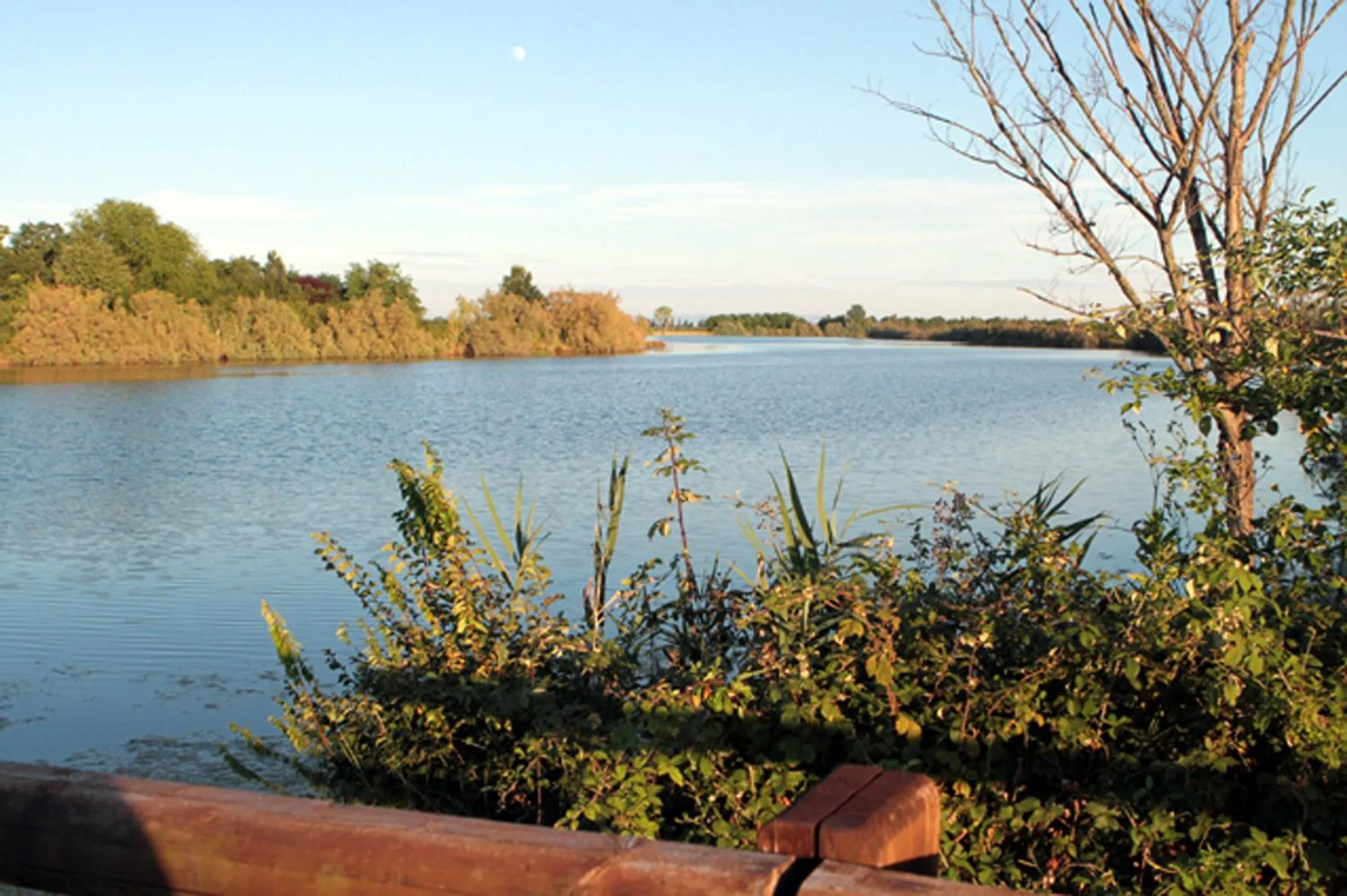 Natural landscape in b&b Bigolin Cristina