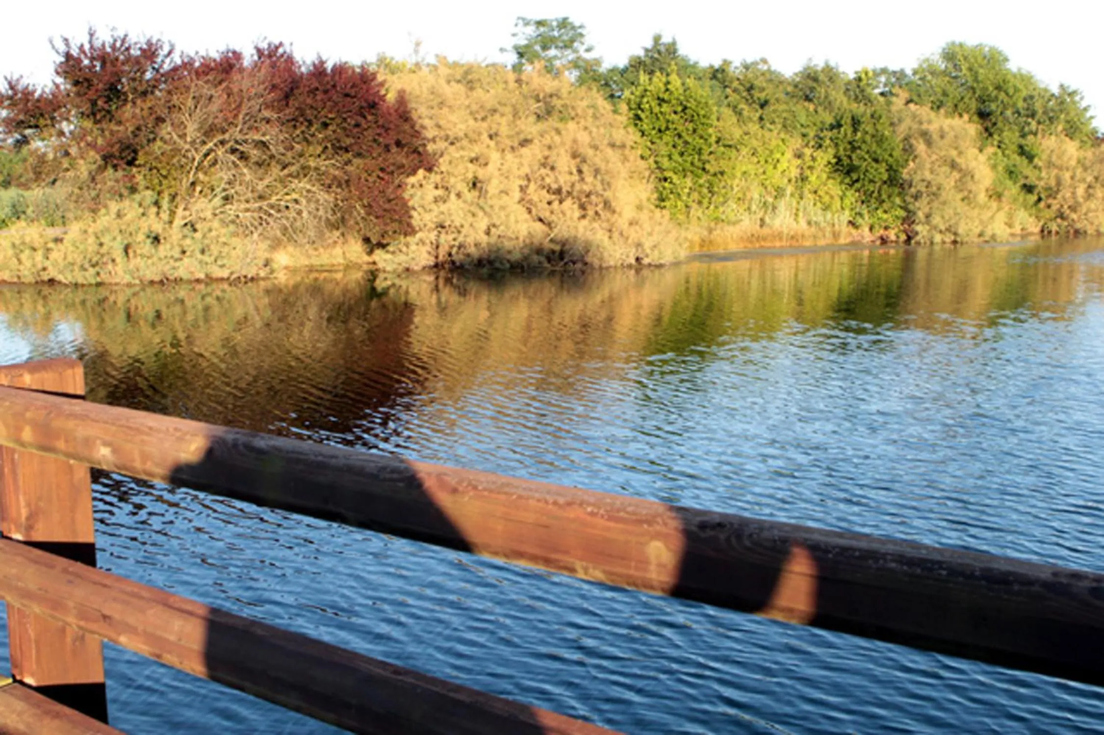 Nearby landmark in b&b Bigolin Cristina