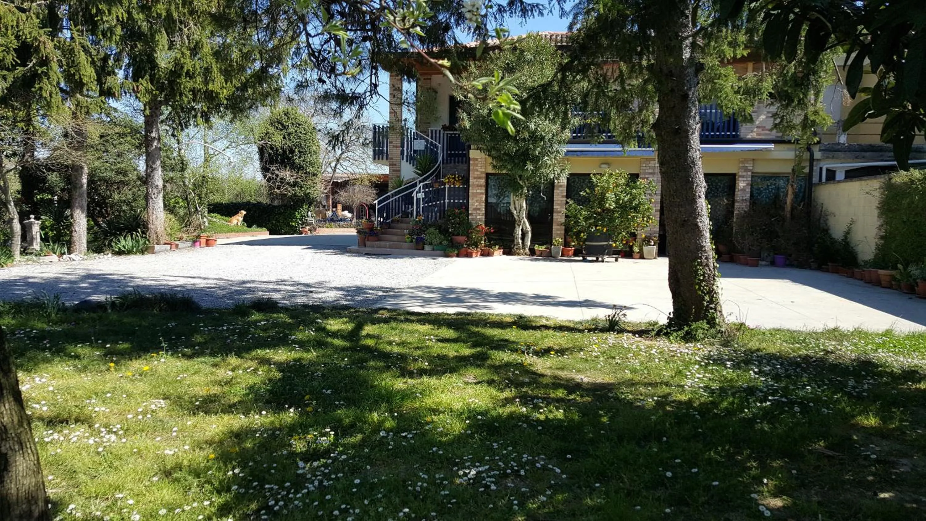 Garden in b&b Bigolin Cristina