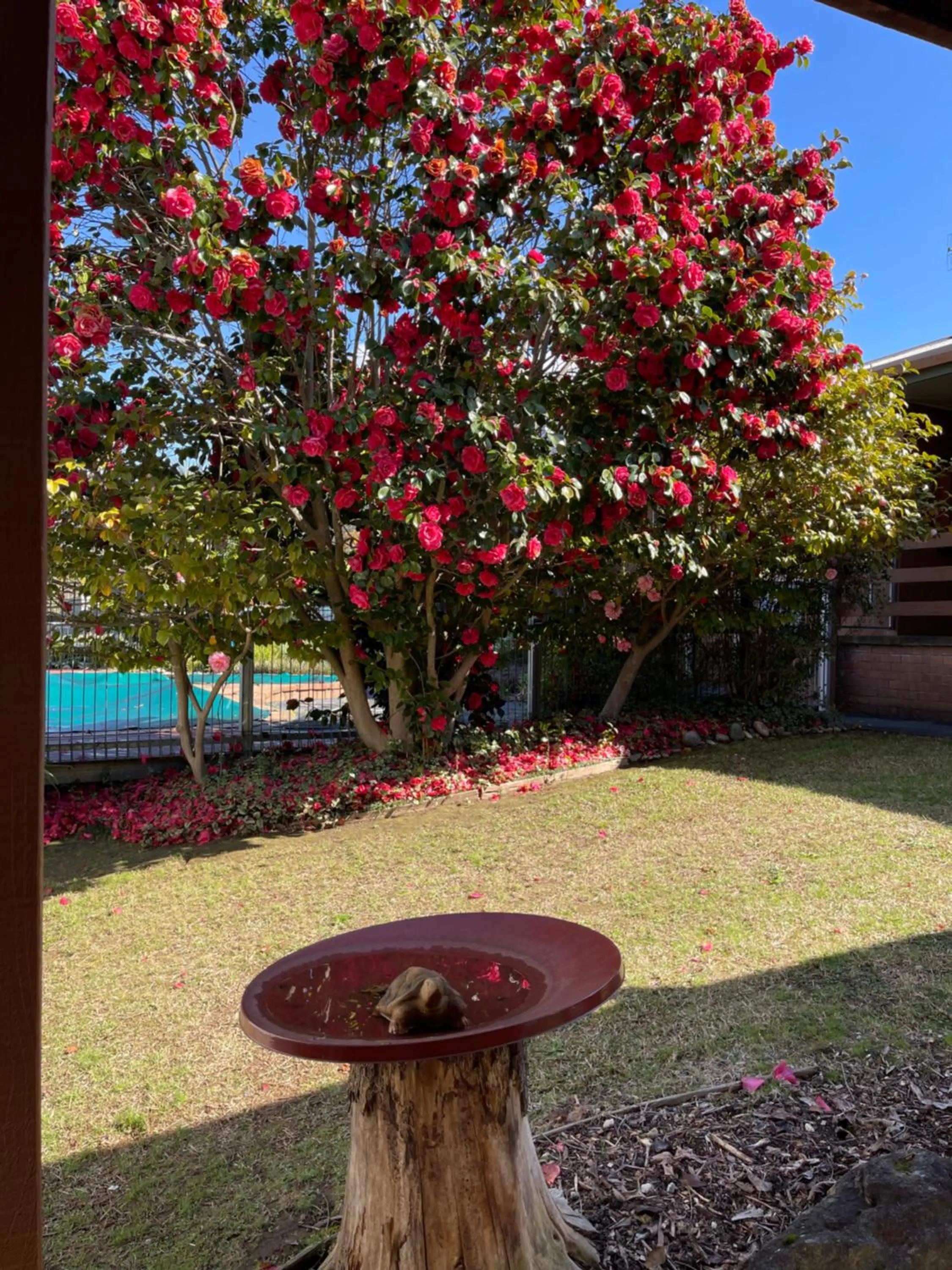 Mountain Creek Motel Bar & Restaurant