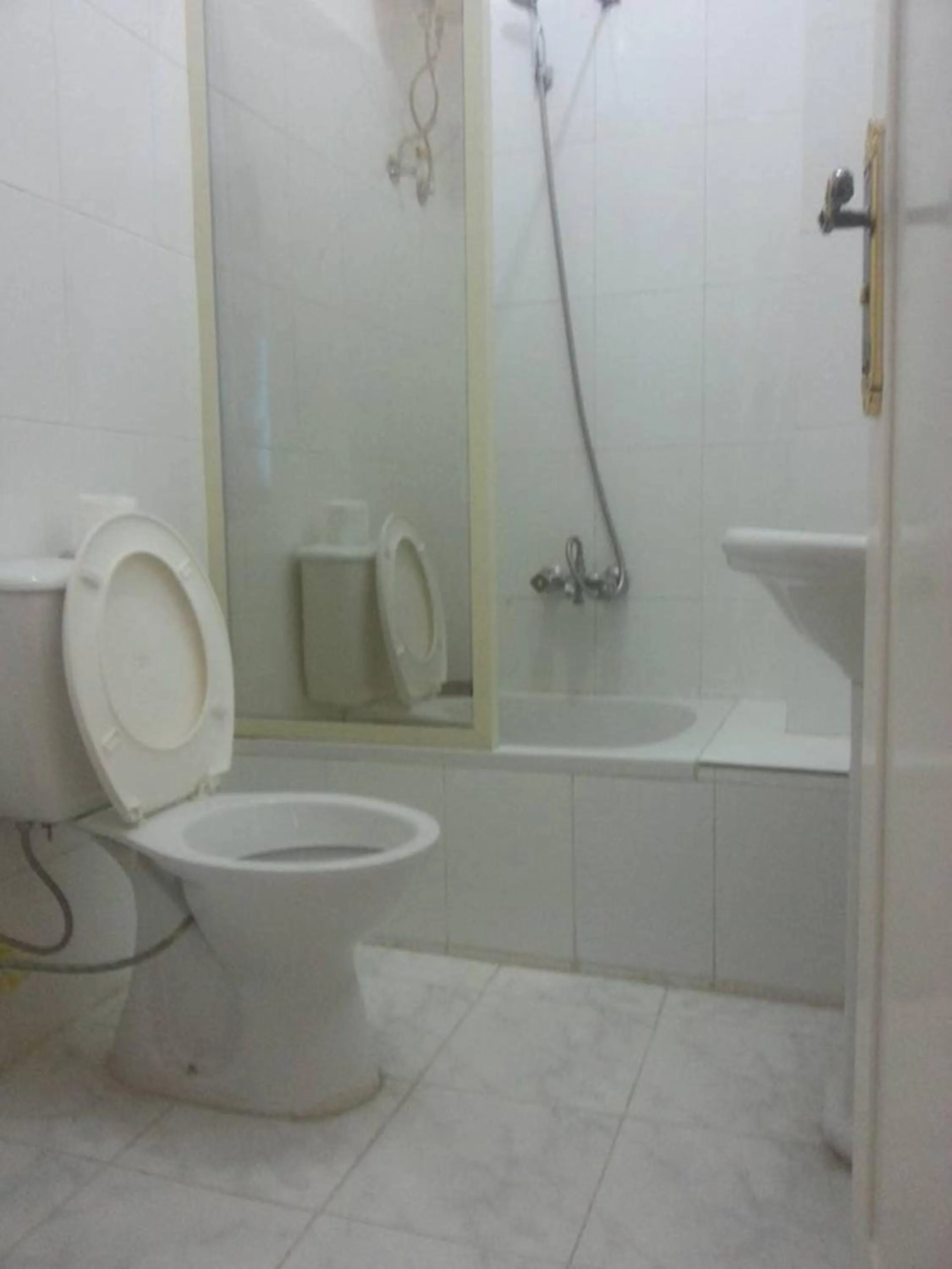 Toilet in Cleopatra Hotel Luxor