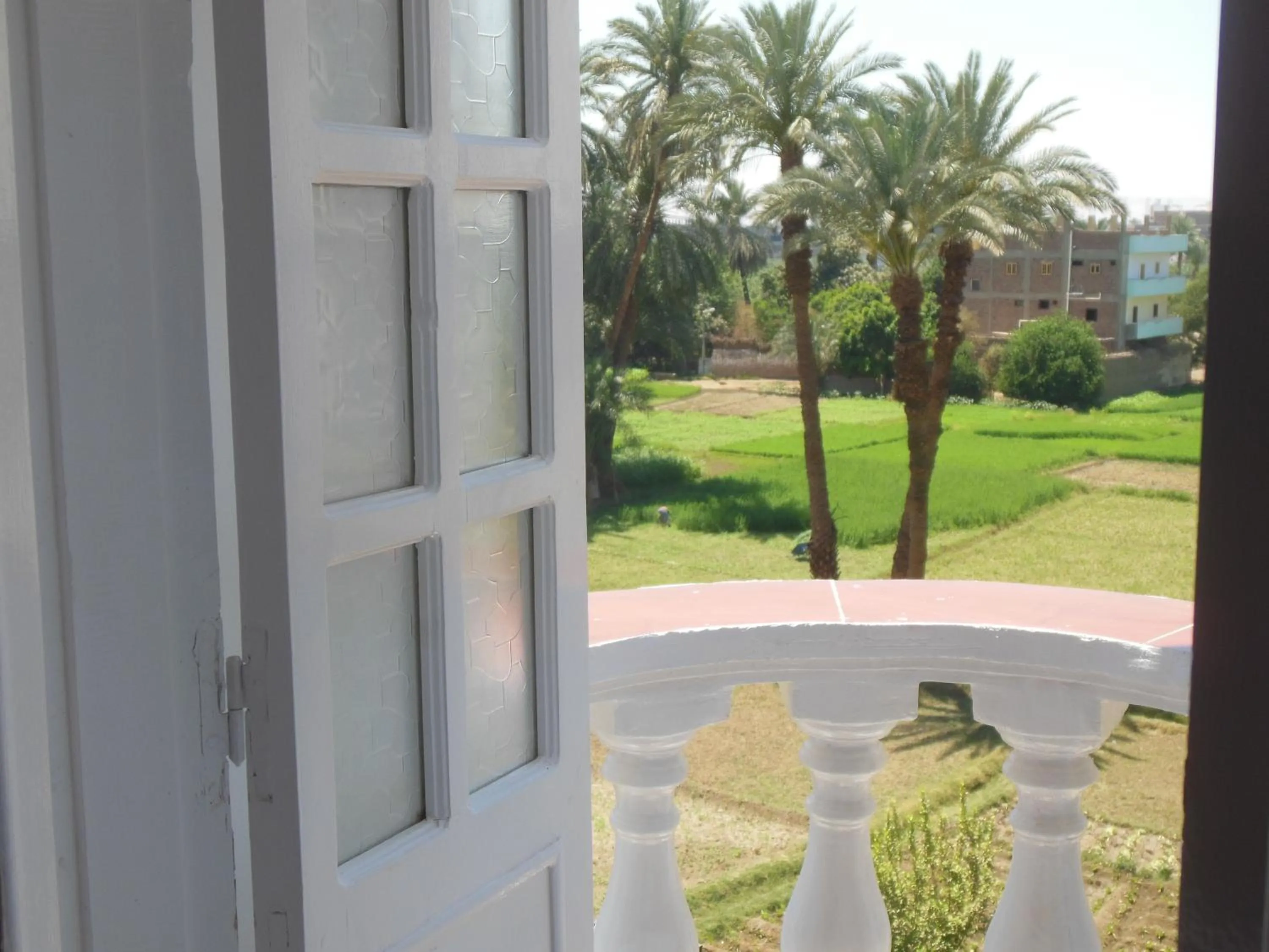 Balcony/Terrace in Cleopatra Hotel Luxor