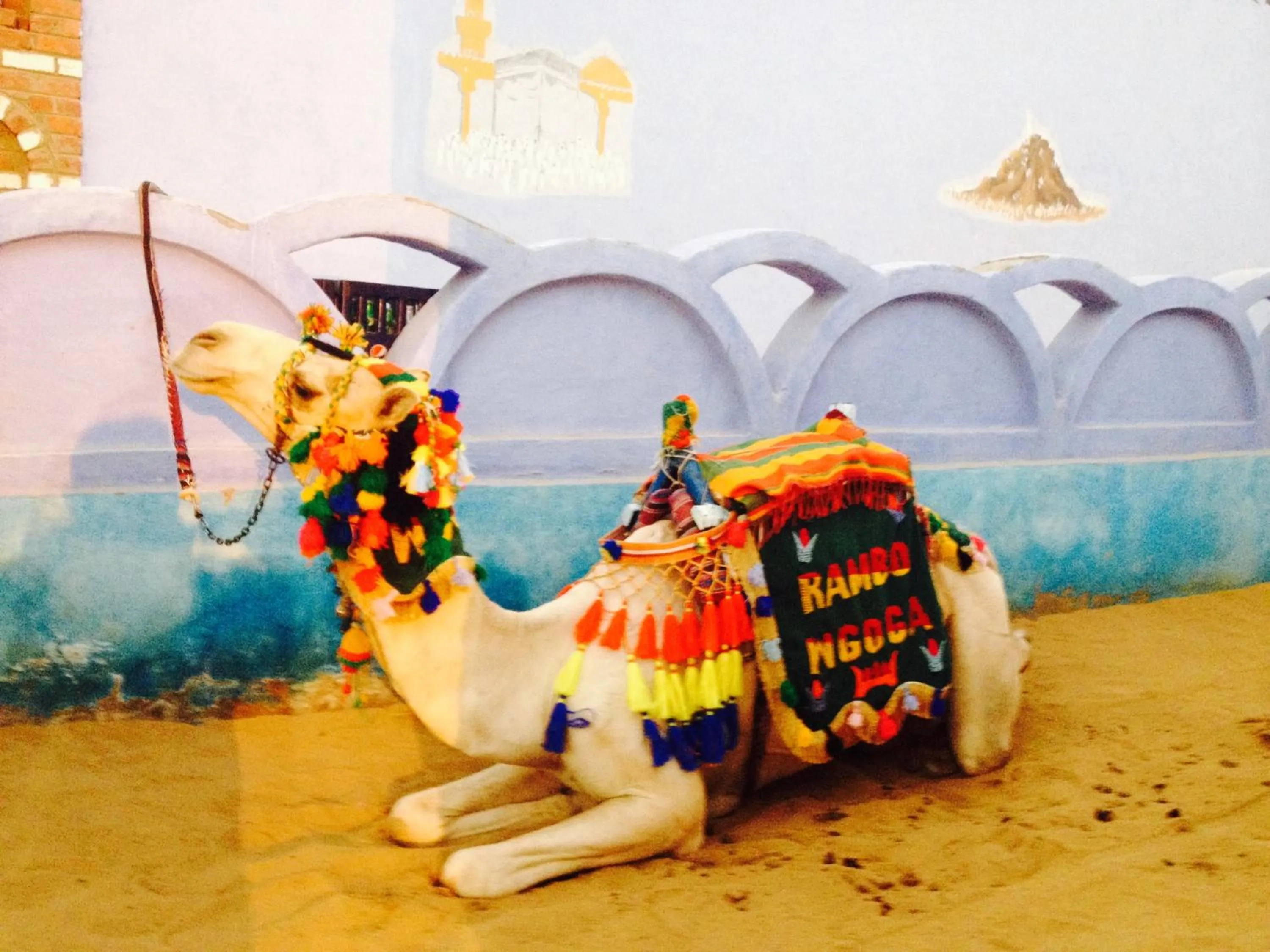 Horse-riding in Cleopatra Hotel Luxor