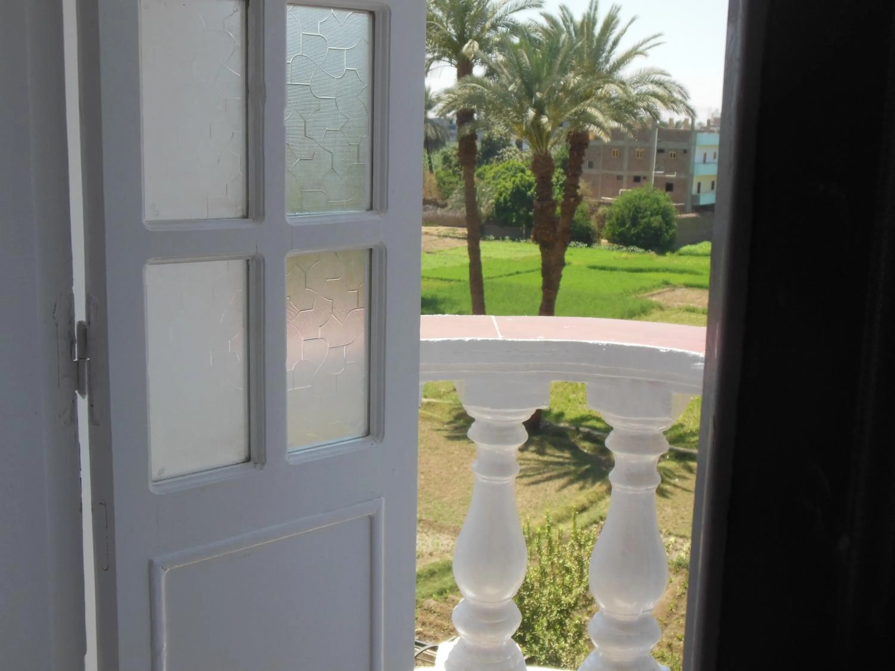 Balcony/Terrace in Cleopatra Hotel Luxor
