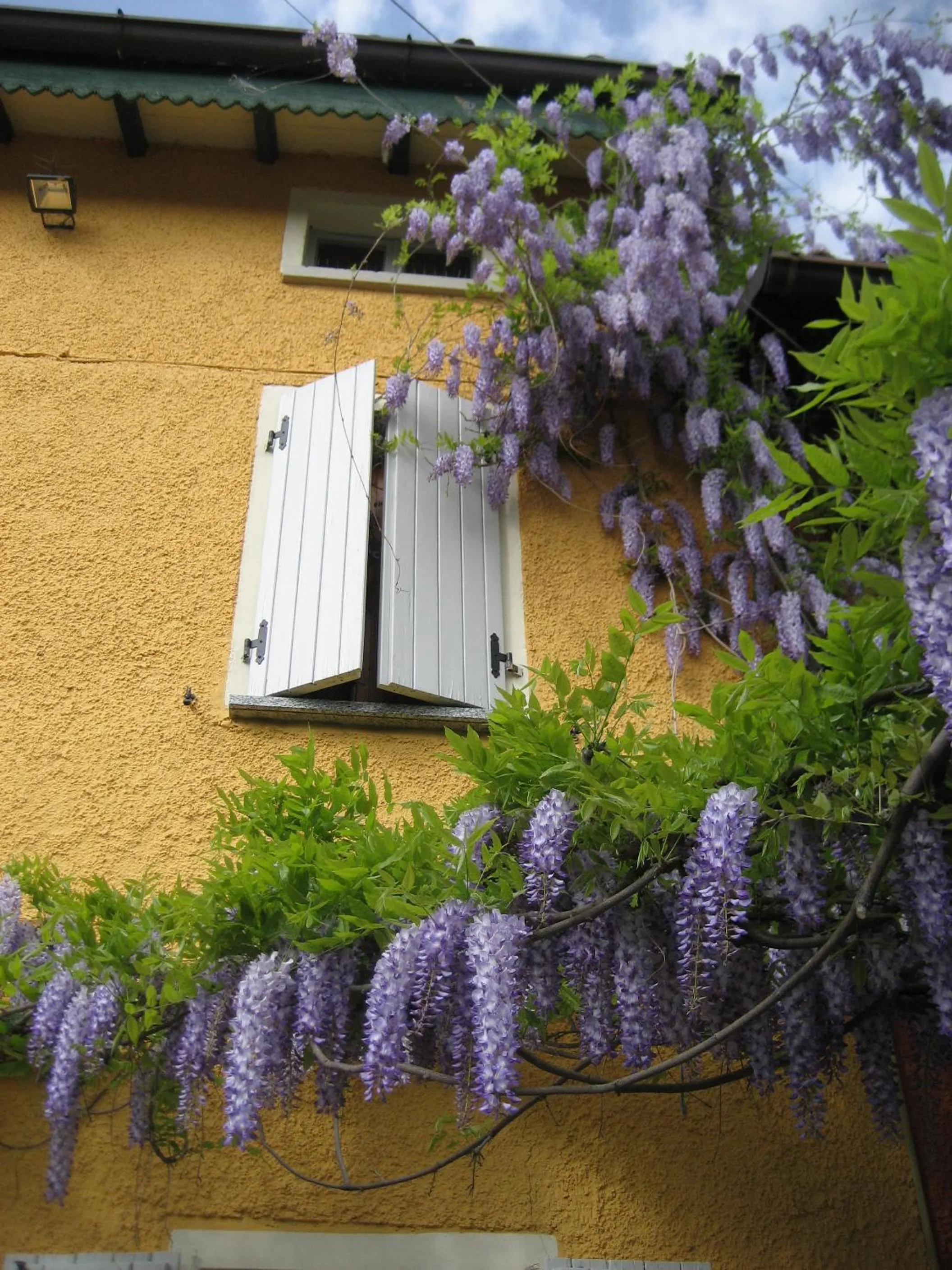 La casa tra i vigneti