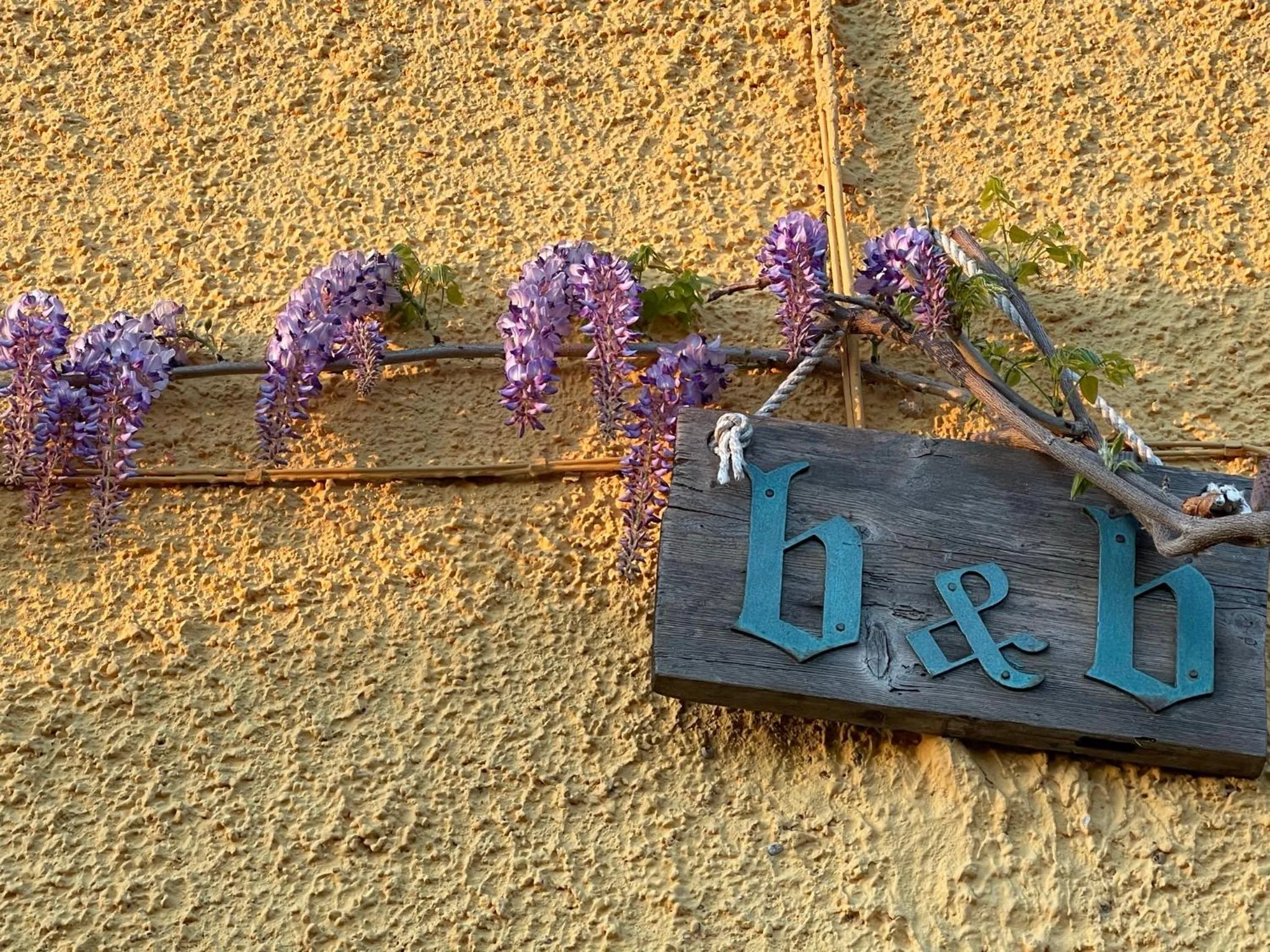 La casa tra i vigneti