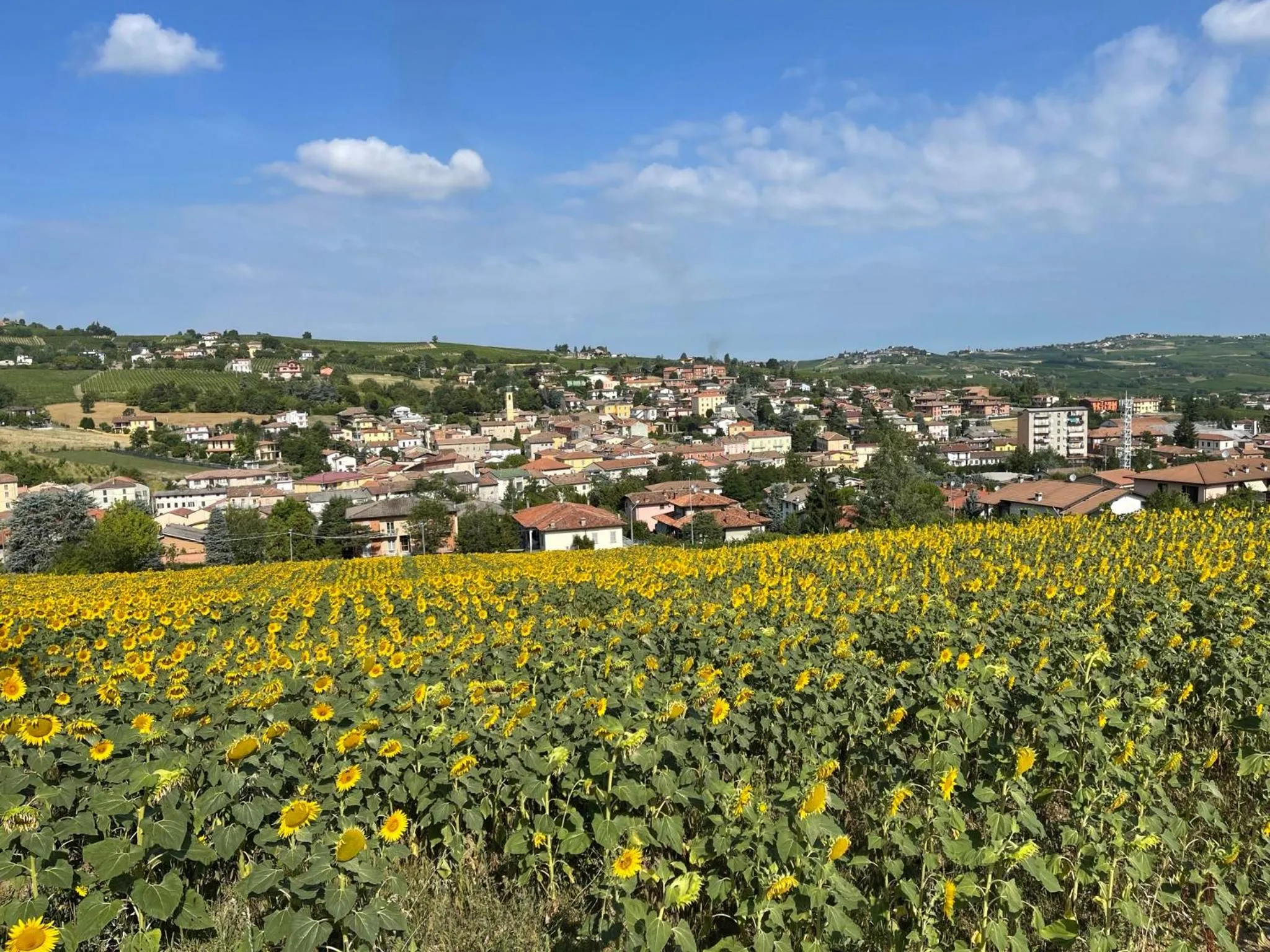 La casa tra i vigneti