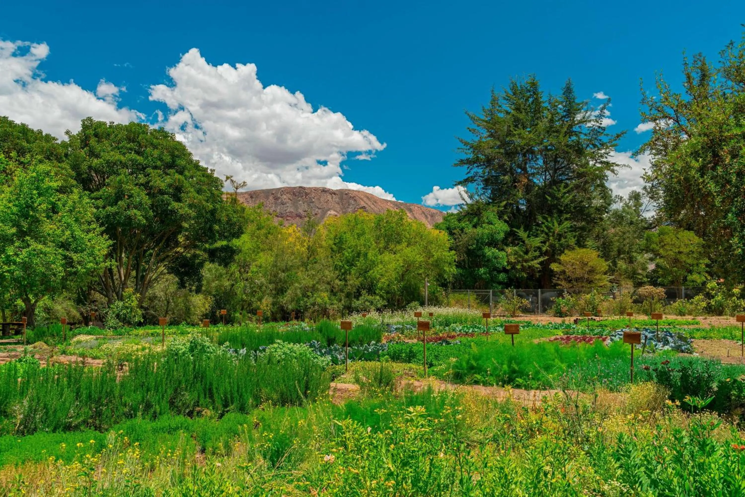 View (from property/room) in Tambo del Inka, a Luxury Collection Resort & Spa, Valle Sagrado
