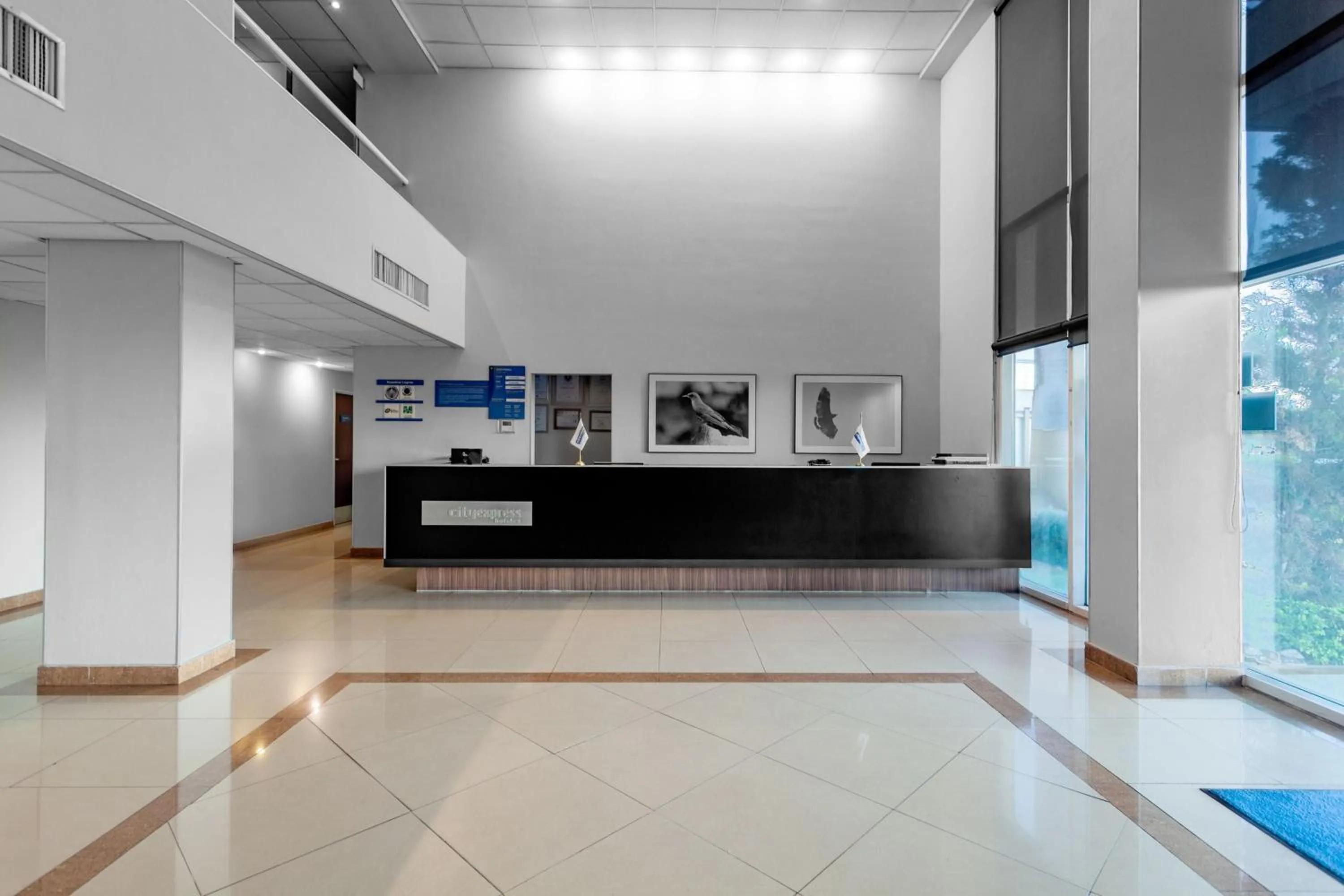Lobby or reception in City Express by Marriott Celaya Parque