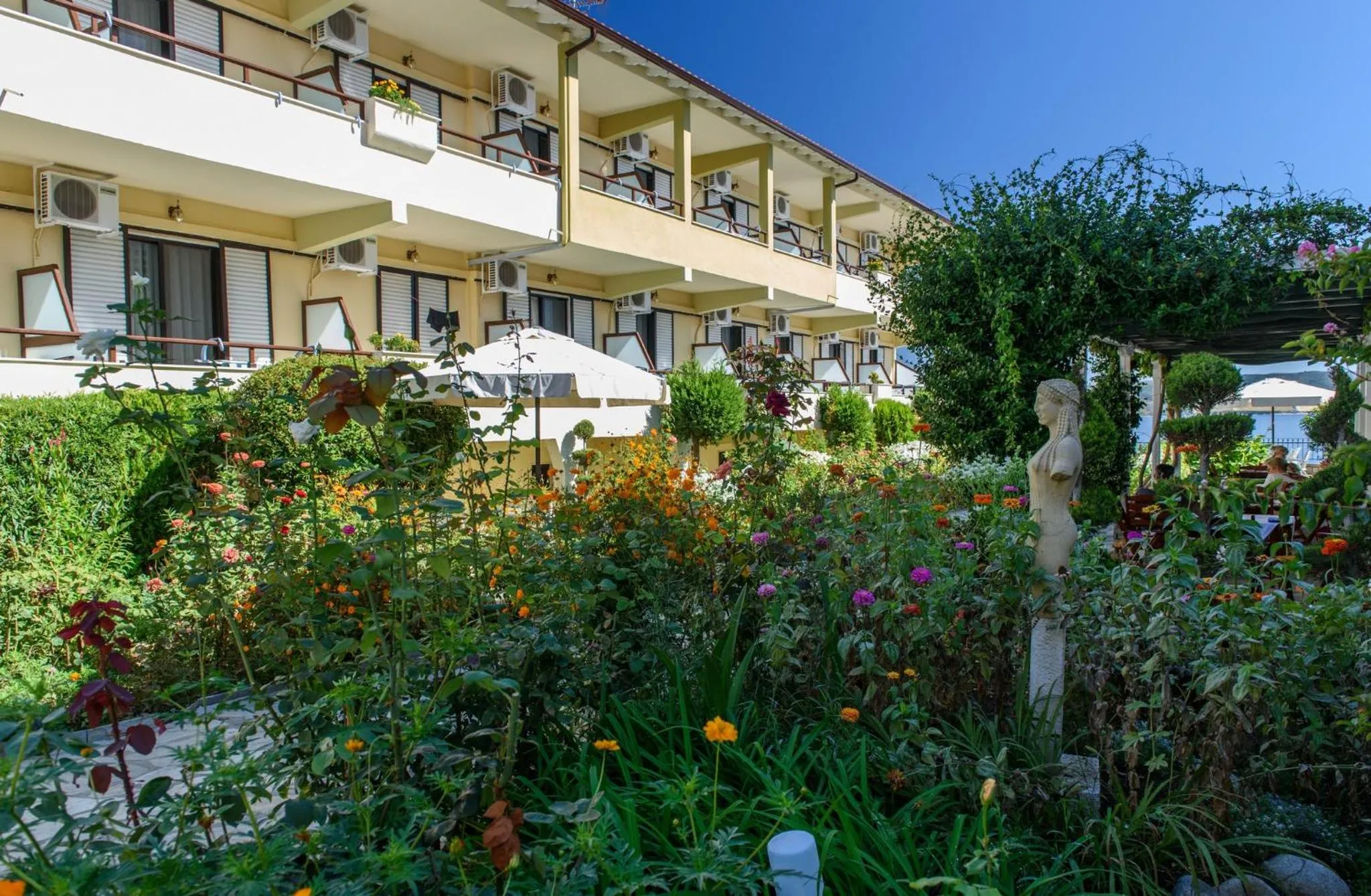 Garden in Sun Rise Hotel