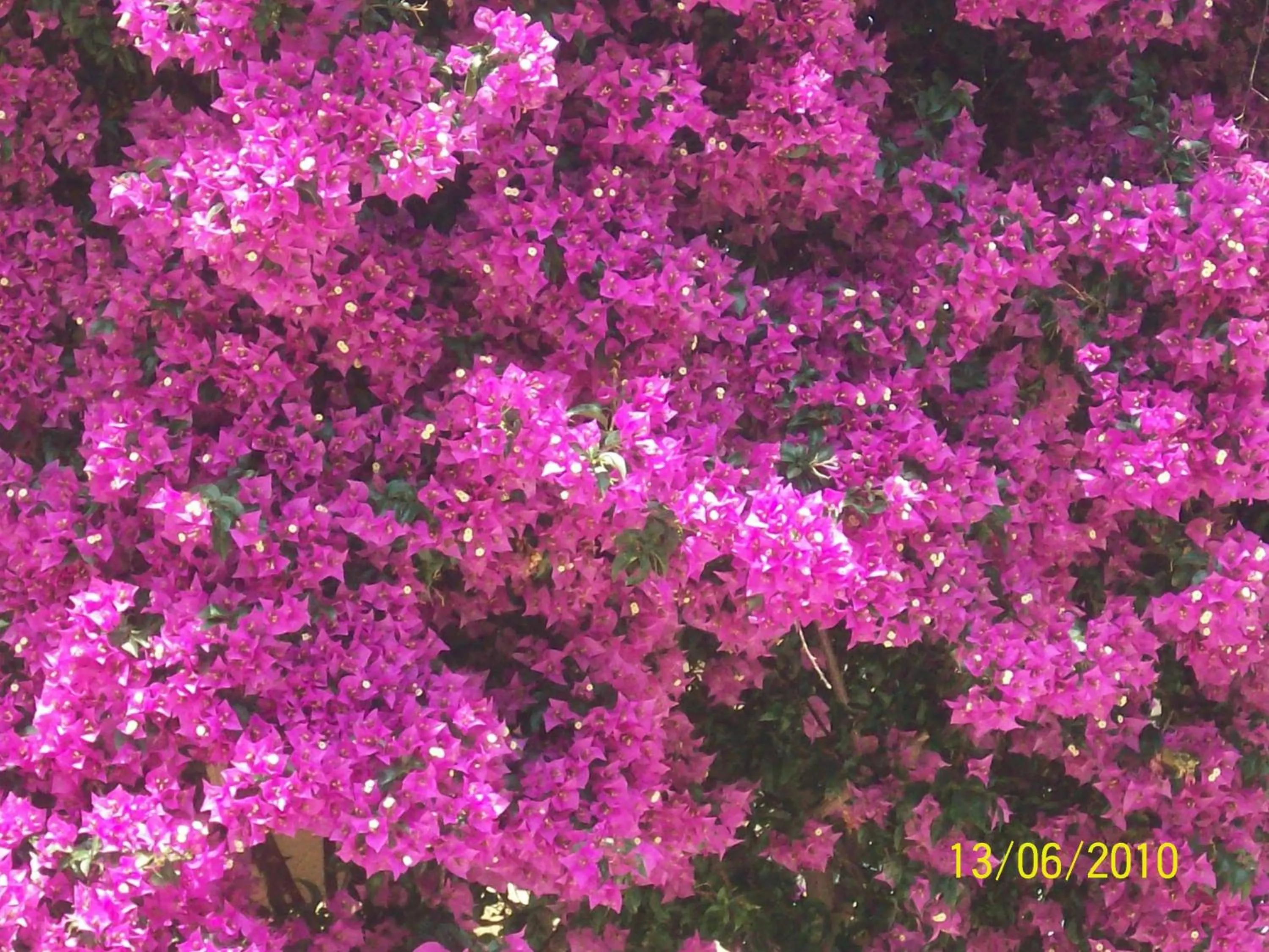 Other in Sun Rise Hotel