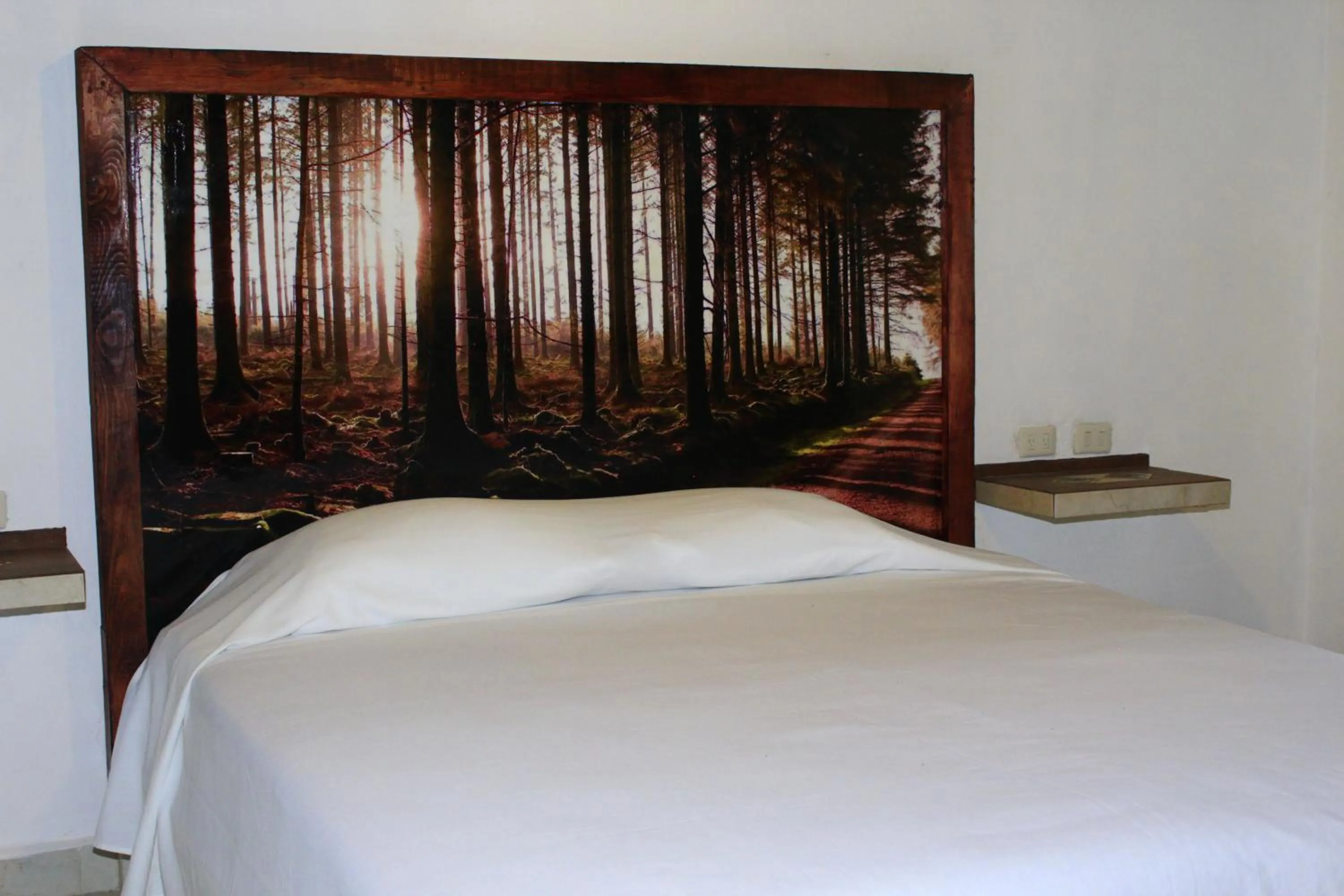 Bed in Hotel Atzalan