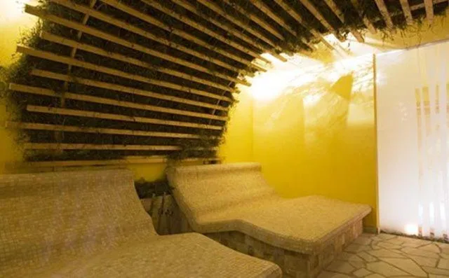 Spa and wellness centre/facilities, Bed in Arnica Mountain Hotel