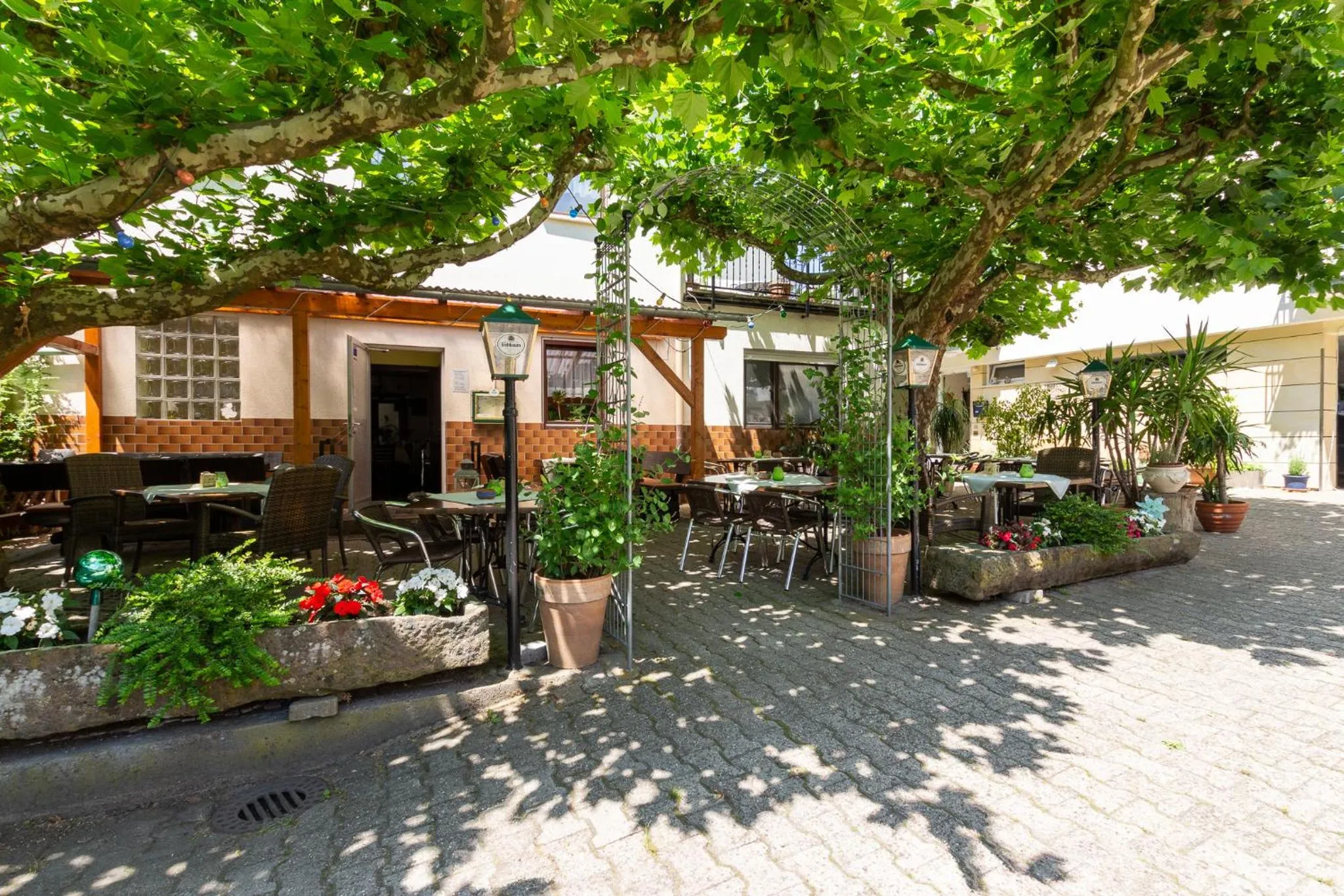 Balcony/Terrace in Zum Waldhorn
