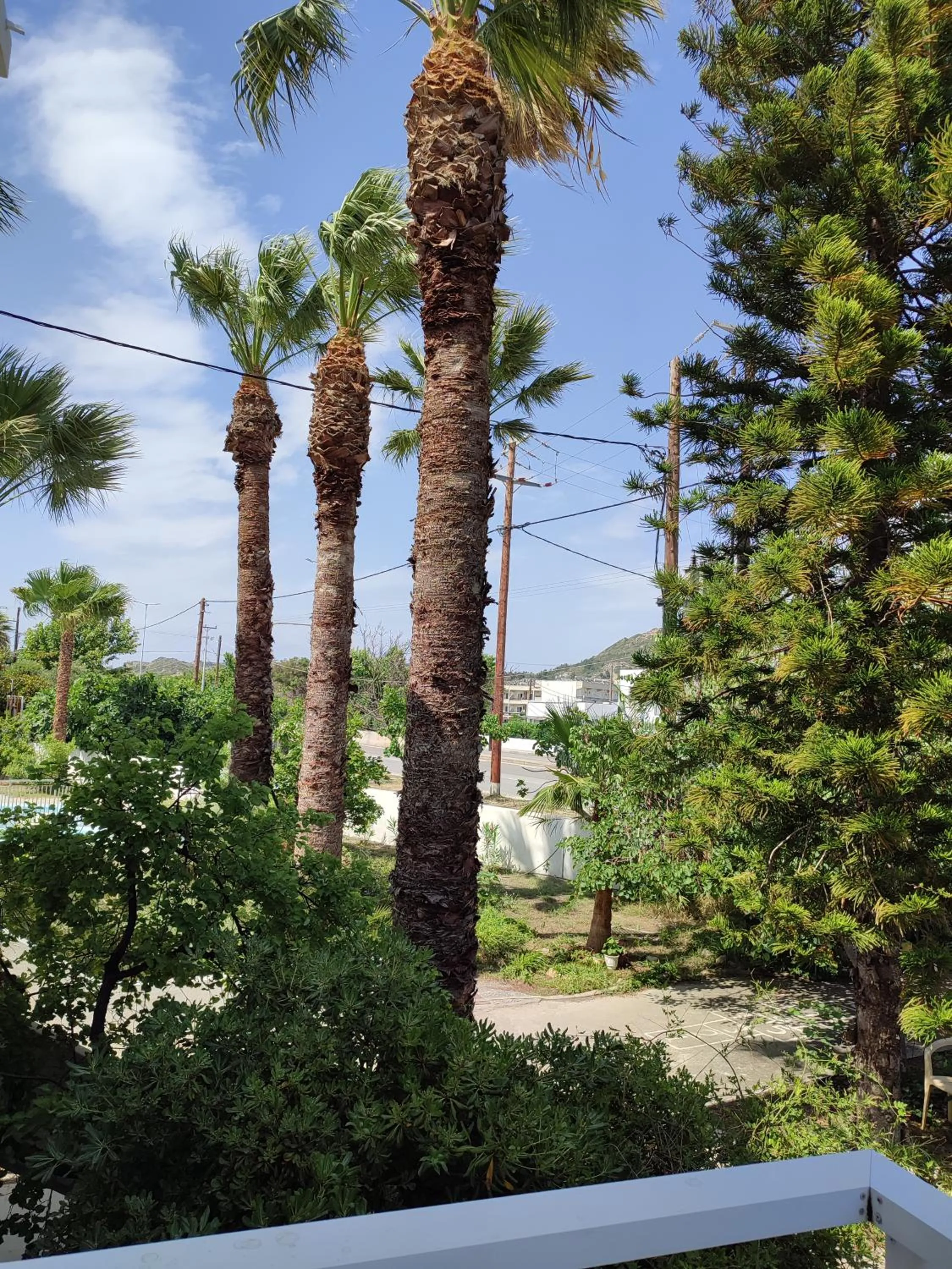 Spring in Dolphin Apartments