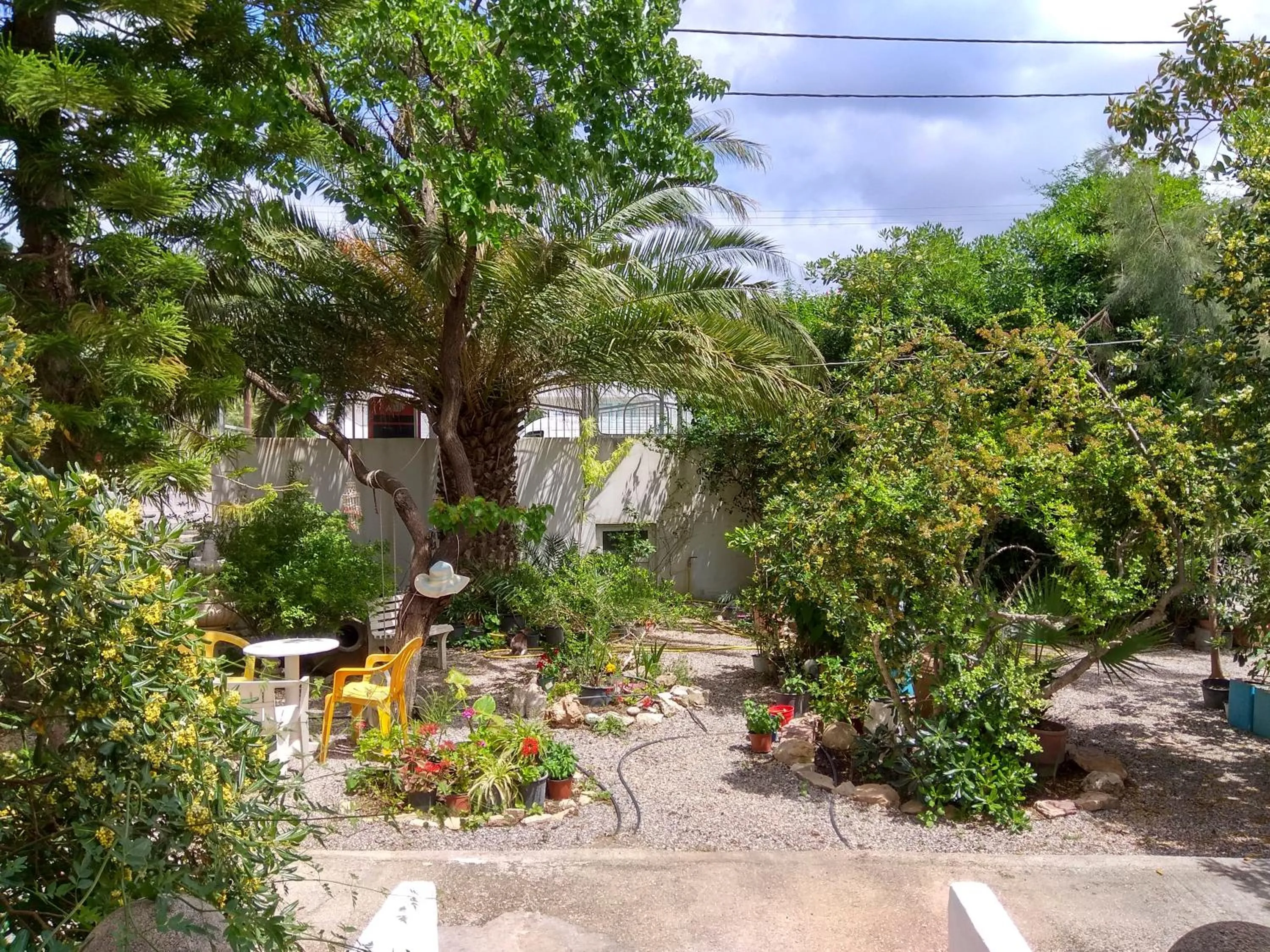 Garden in Dolphin Apartments