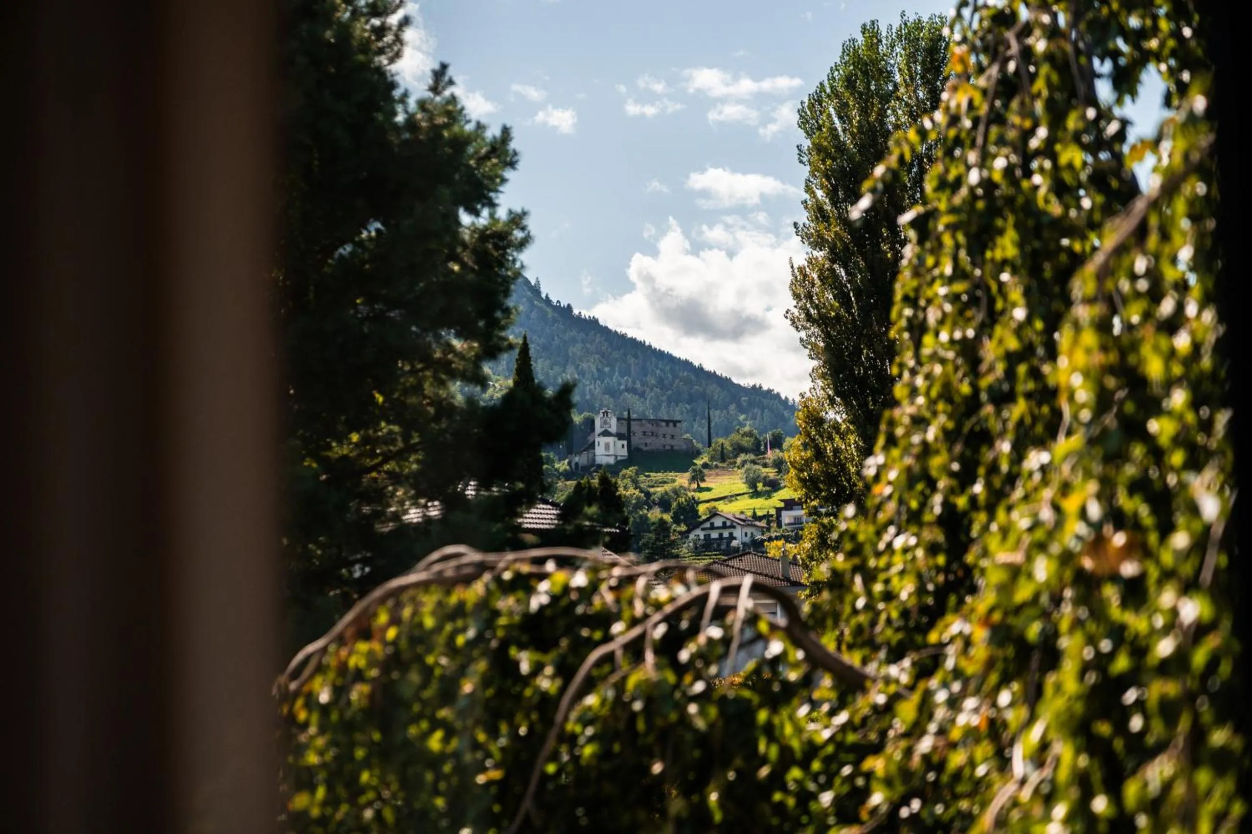 Natural landscape in goldfinger + suites