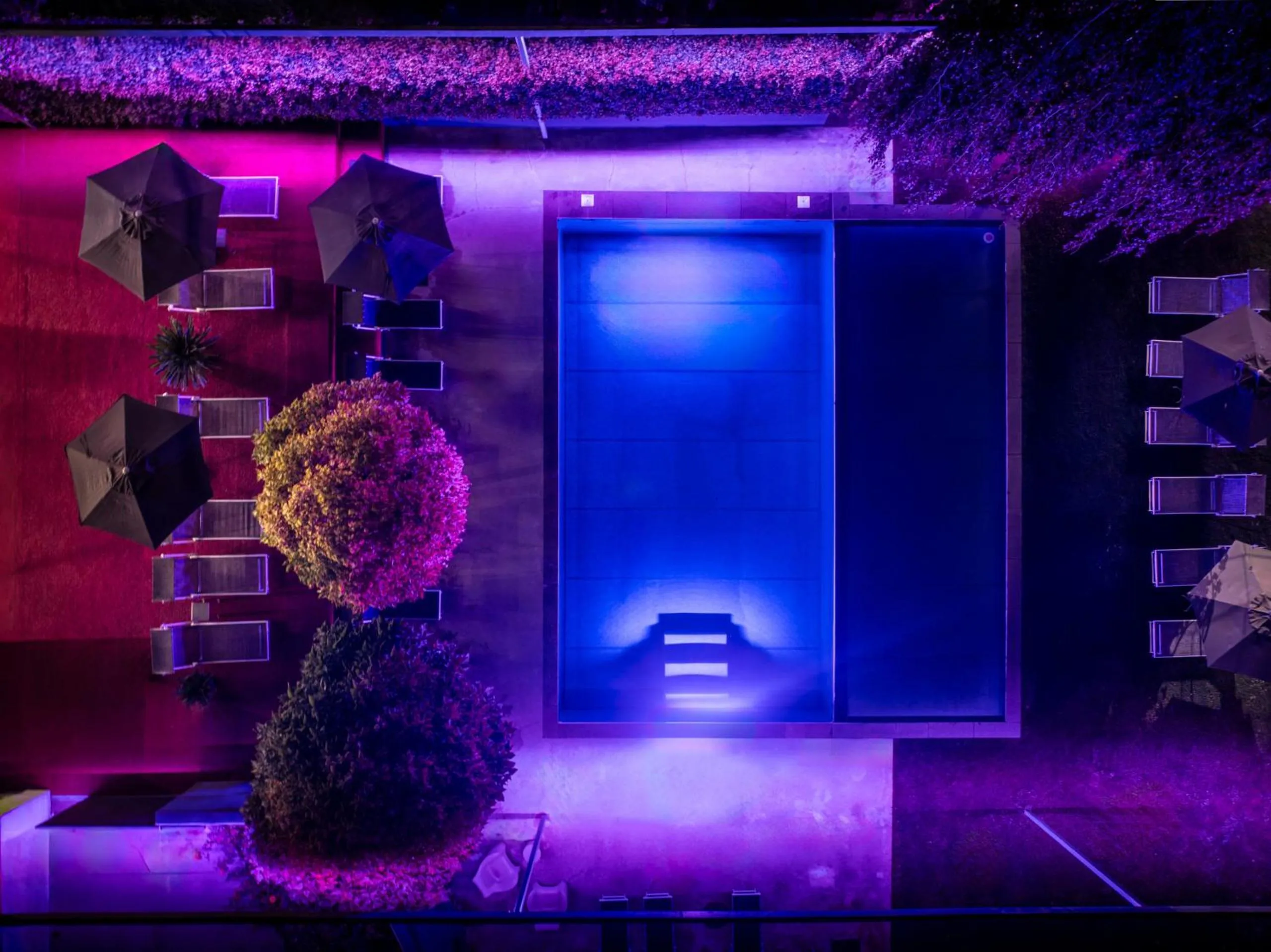 Night in goldfinger + suites