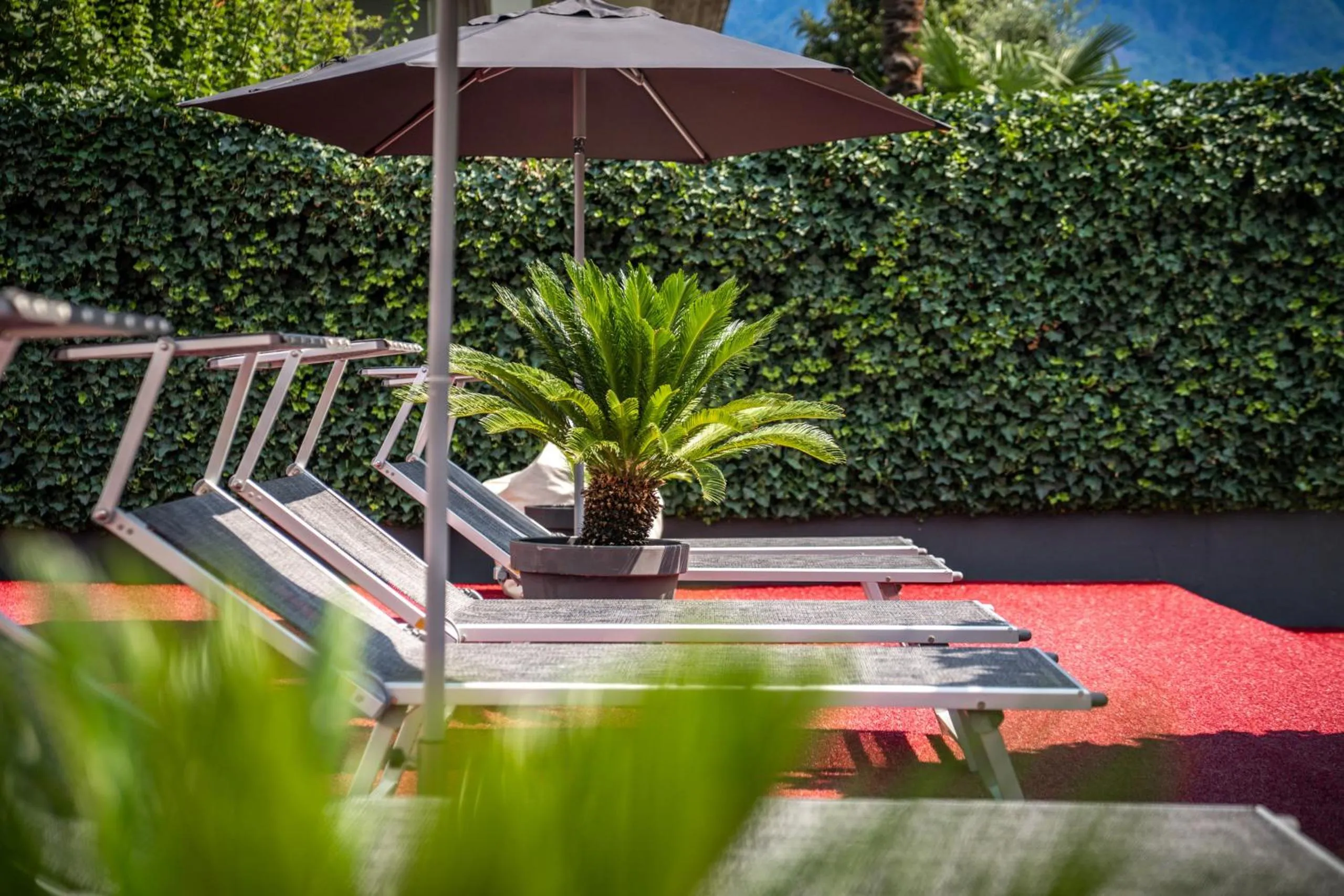 Garden in goldfinger + suites