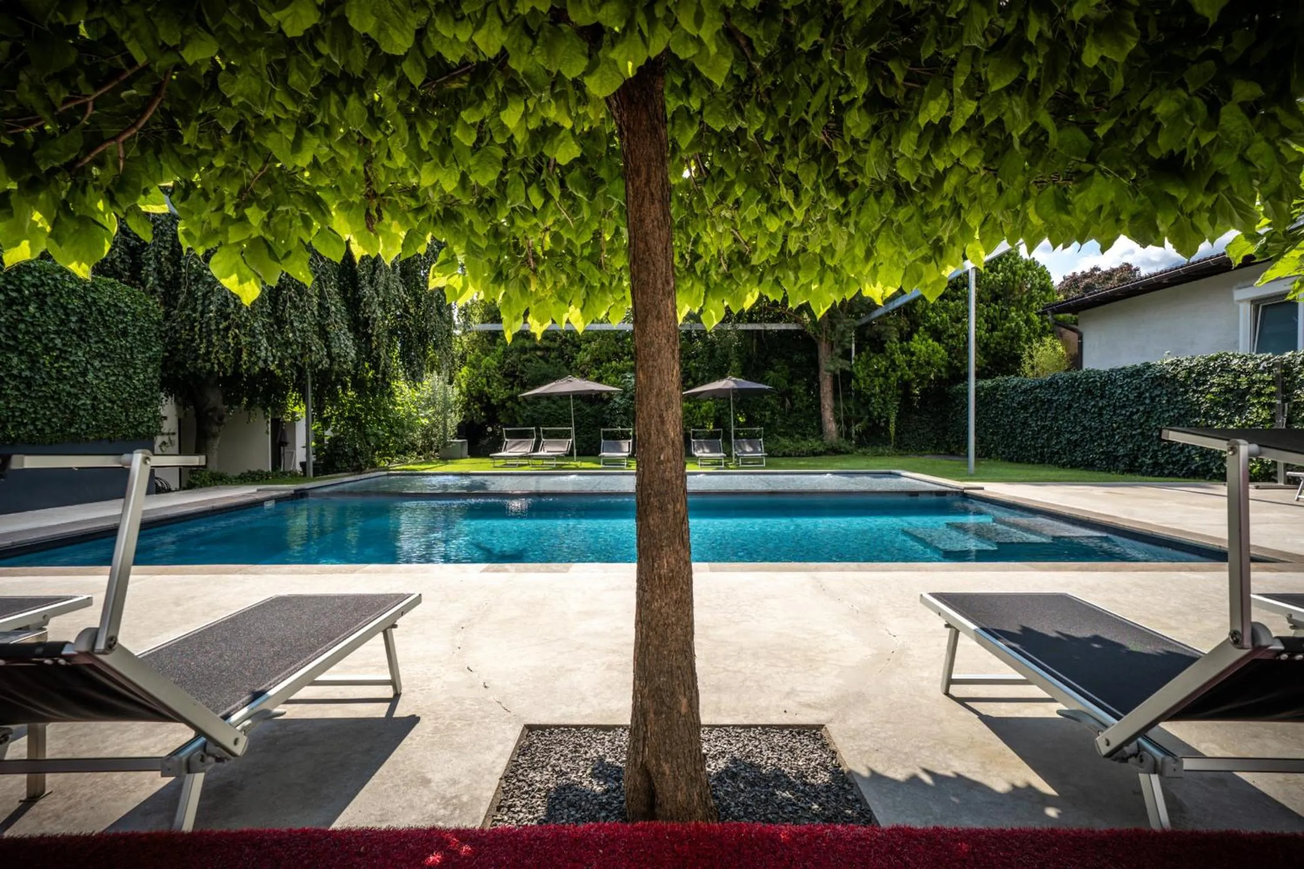 Swimming pool in goldfinger + suites