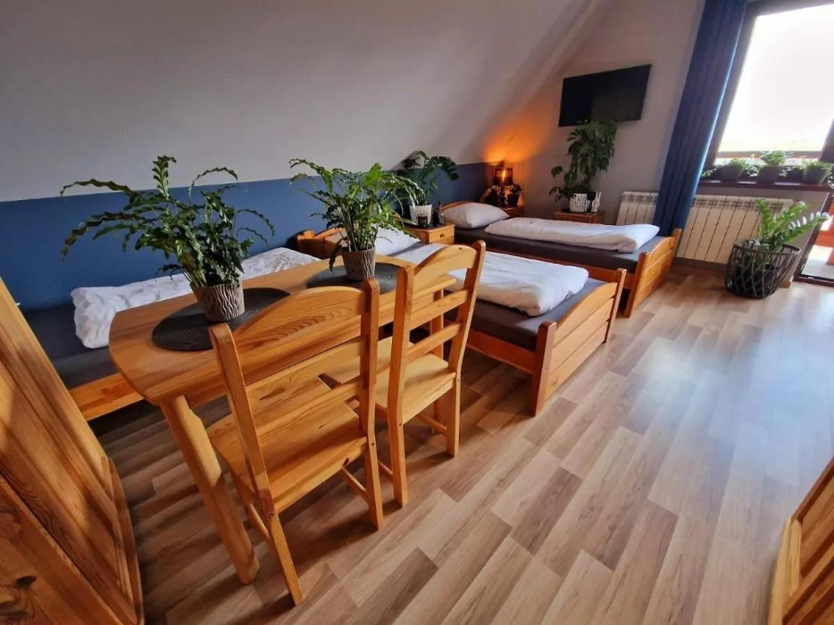 Pensjonat Harmatówka - ATRAKCYJNY PAKIET ŚWIĄTECZNY - blisko basenów termalnych