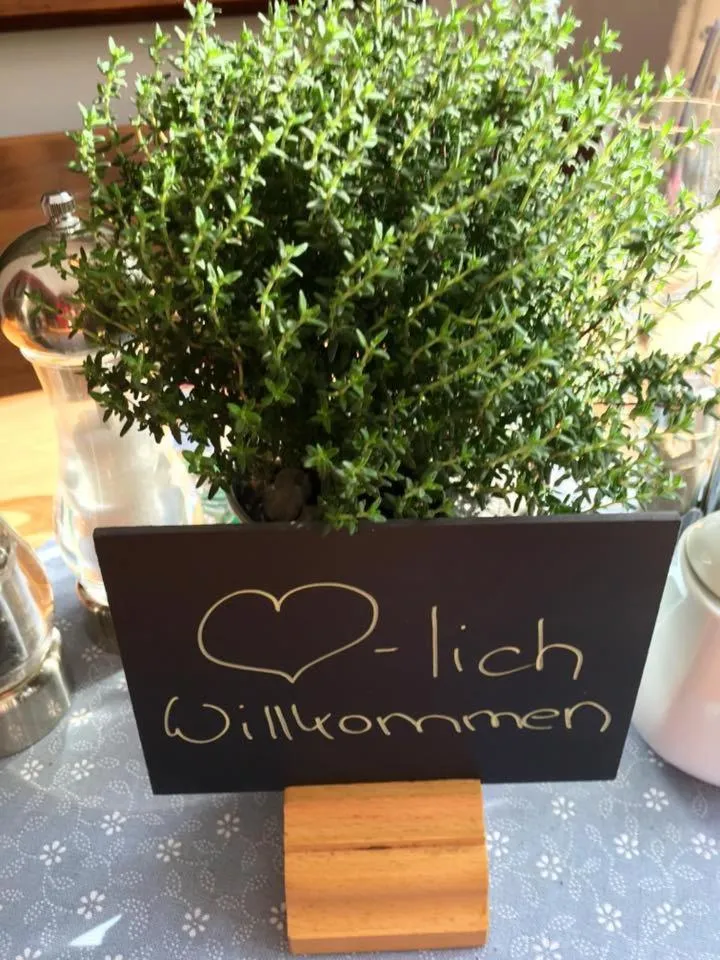 Restaurant/places to eat in Bürger- und Berggasthaus Scheibenberg