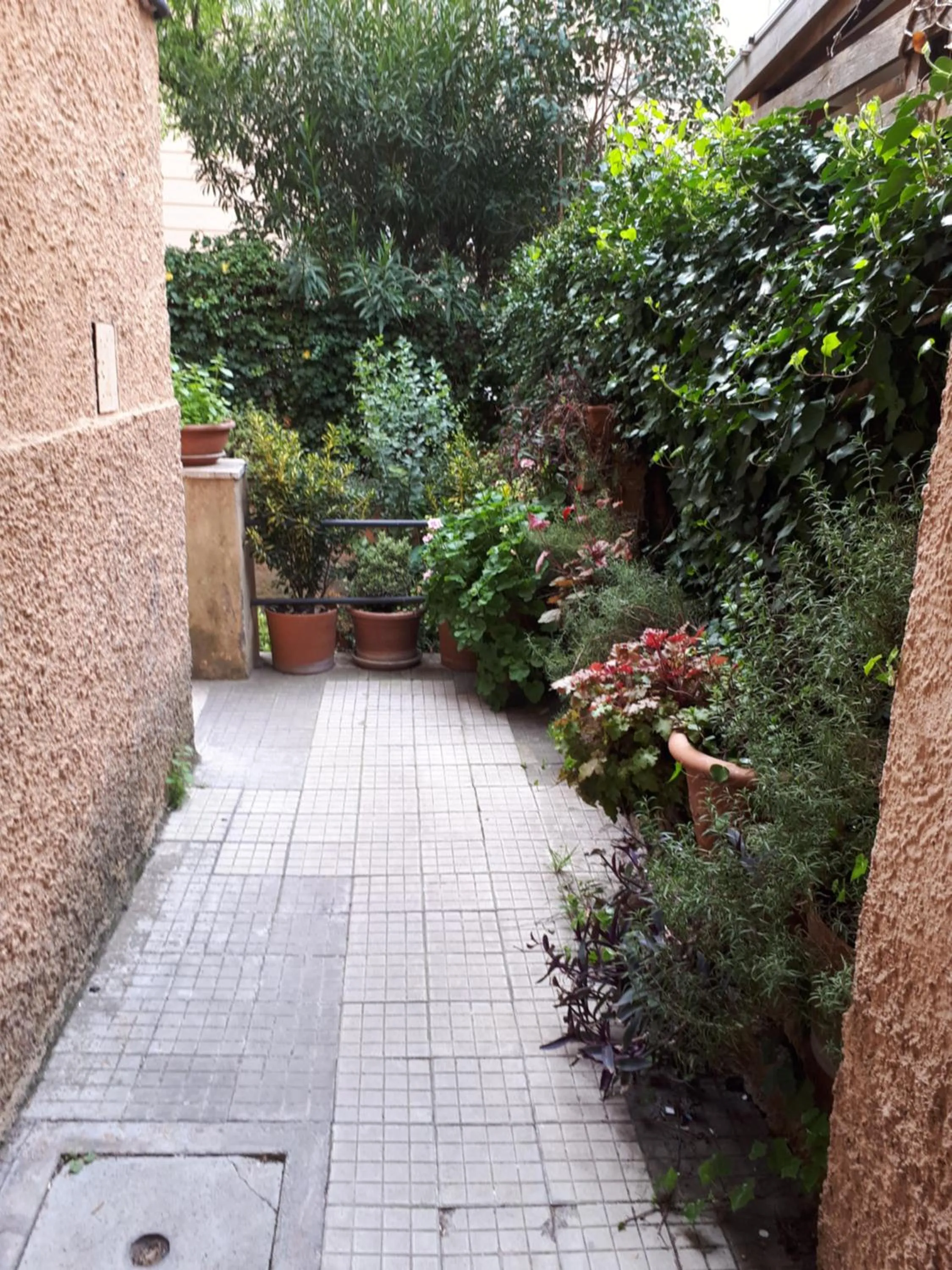 Tra Gianicolo e Trastevere