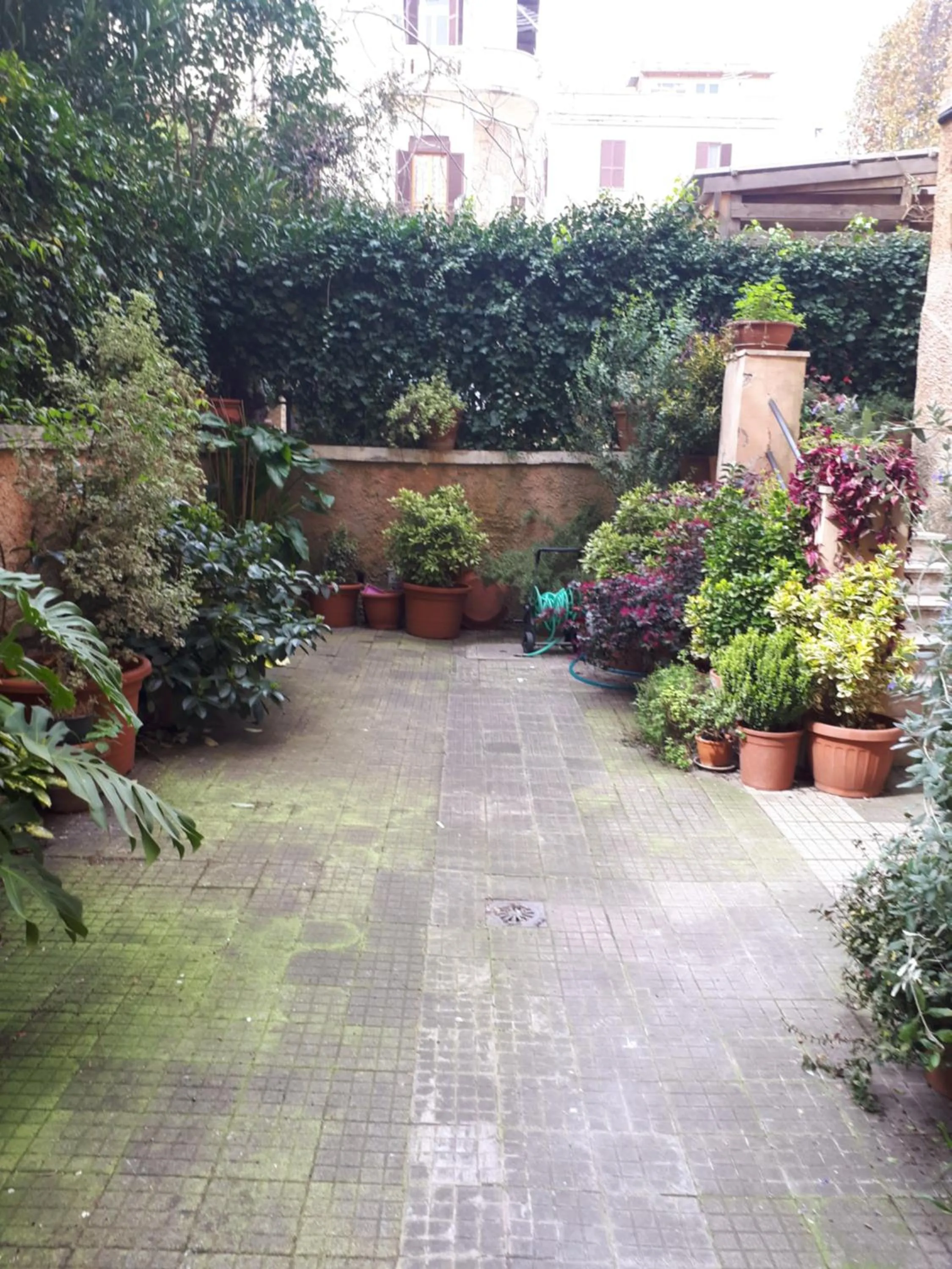 Tra Gianicolo e Trastevere