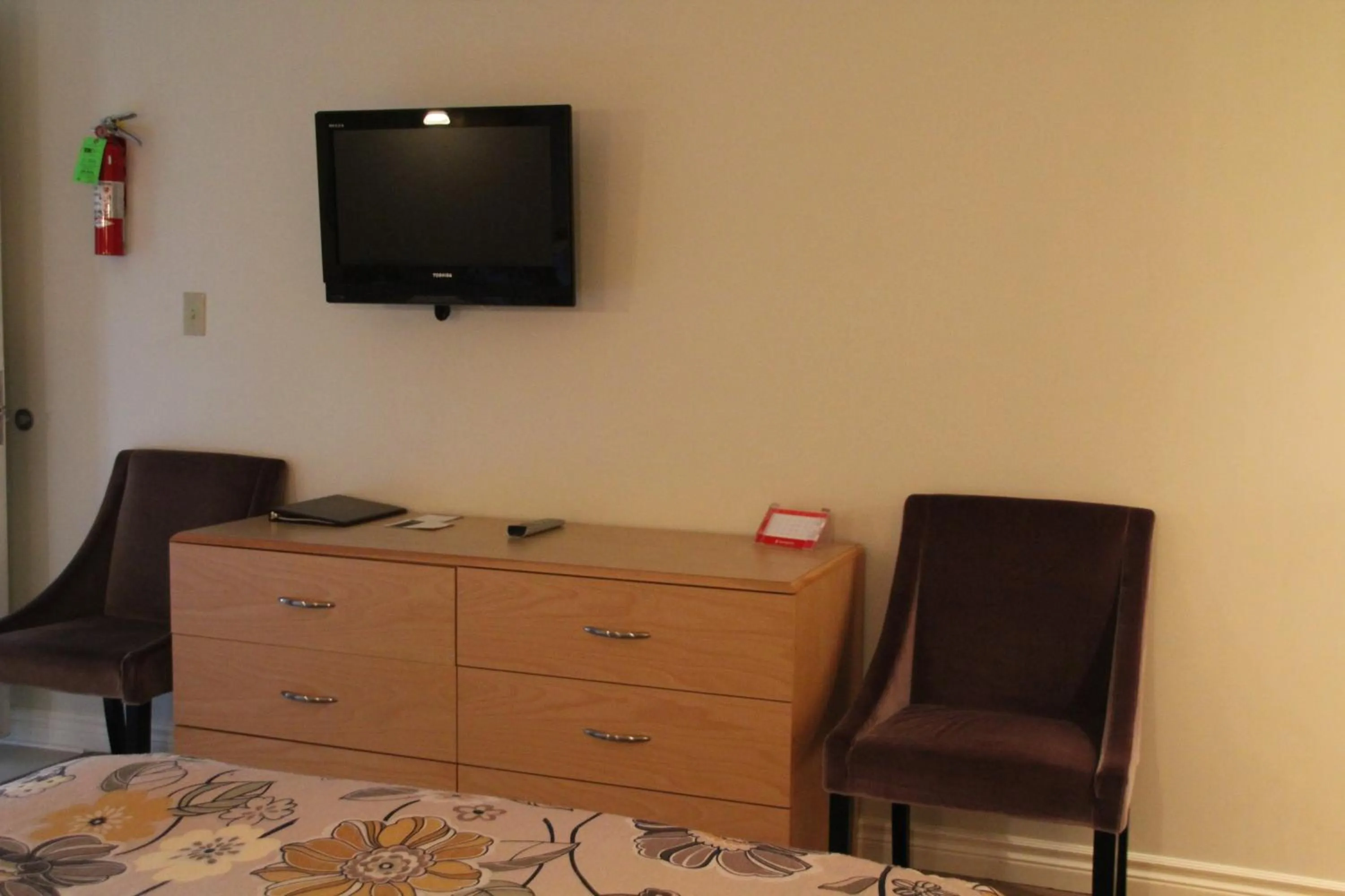 TV and multimedia in Dundee Arms Inn