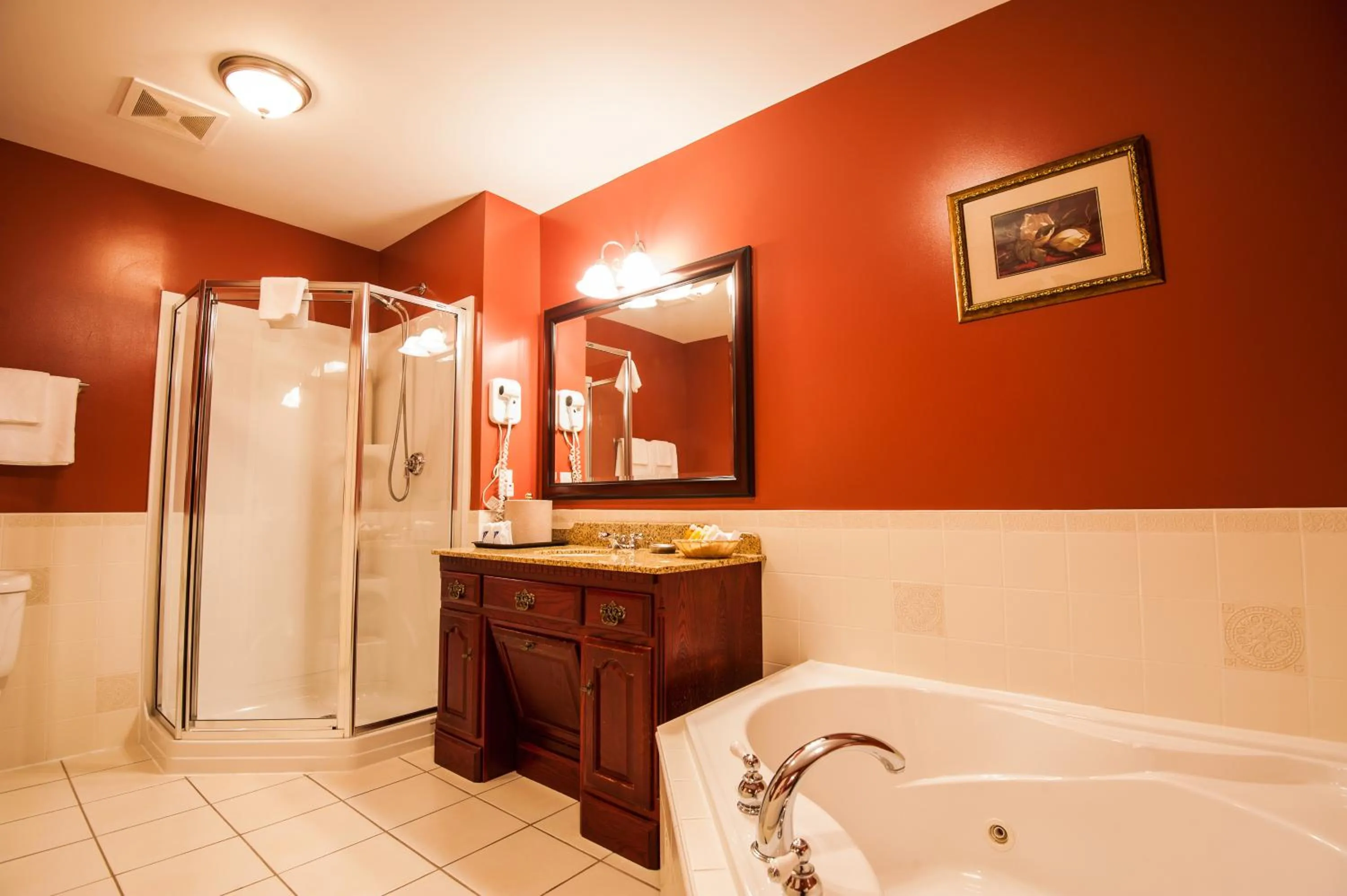 Bathroom in Dundee Arms Inn