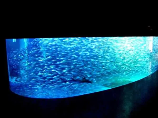 Nearby landmark in Karurusu Onsen Yumoto Orofuresou