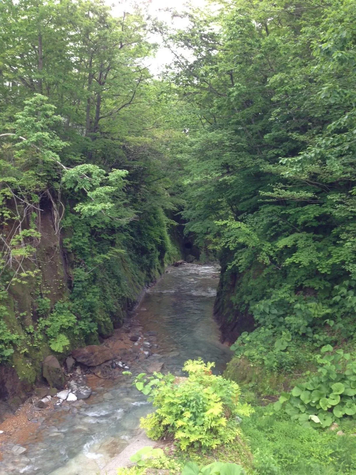 Natural landscape in Karurusu Onsen Yumoto Orofuresou