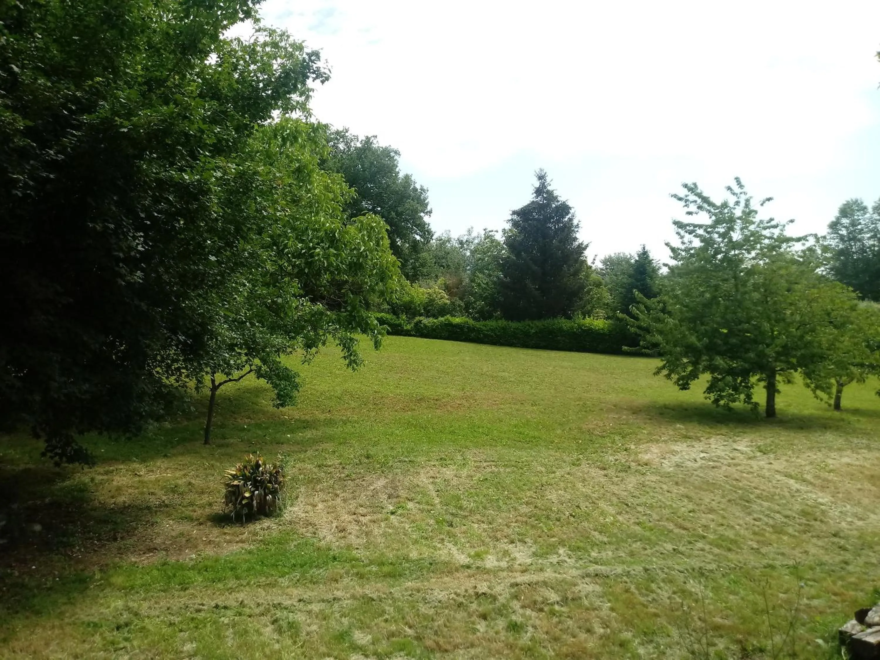 Spring in B&B Il Pittore