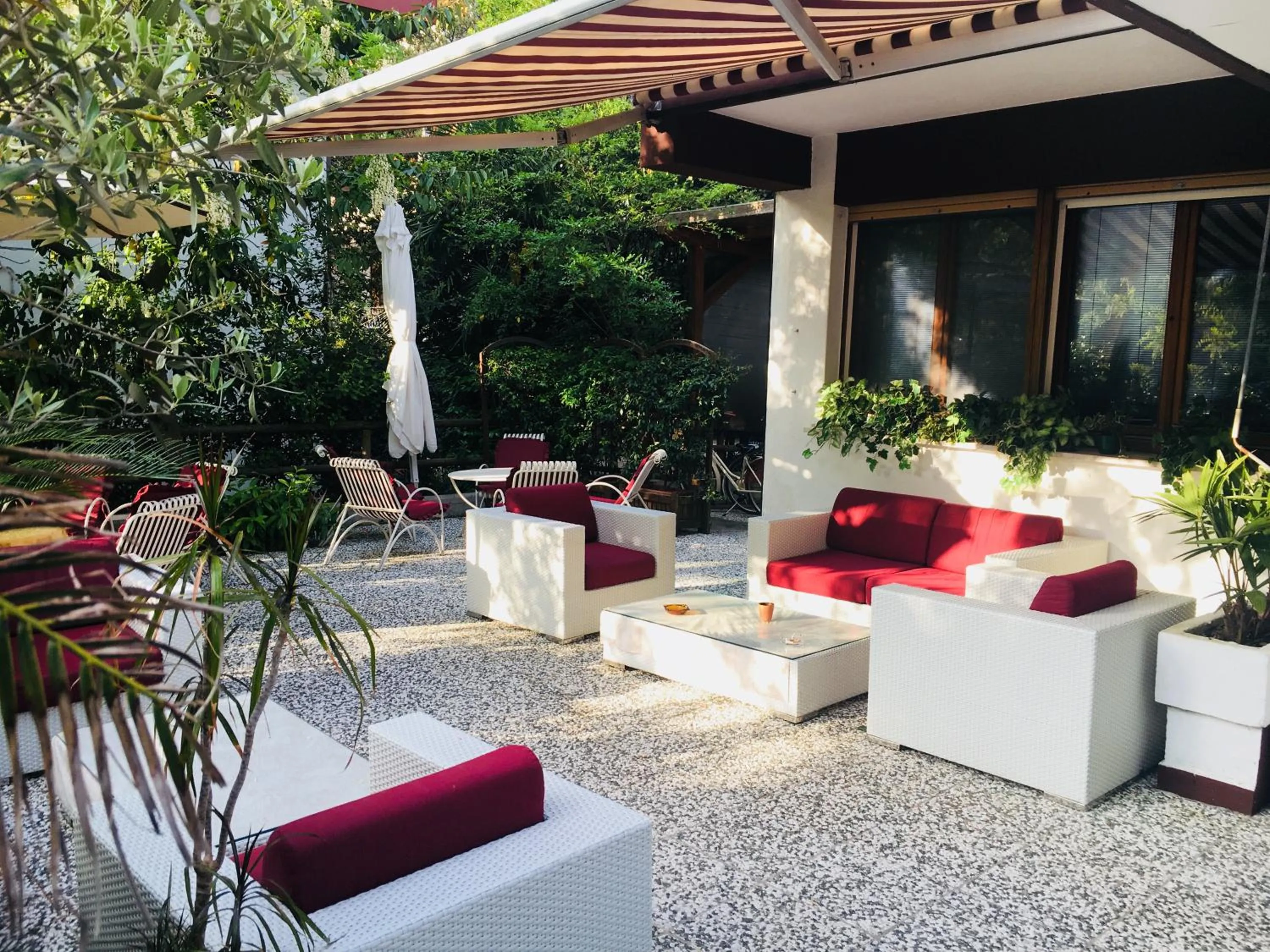 Garden in Hotel Adriaco